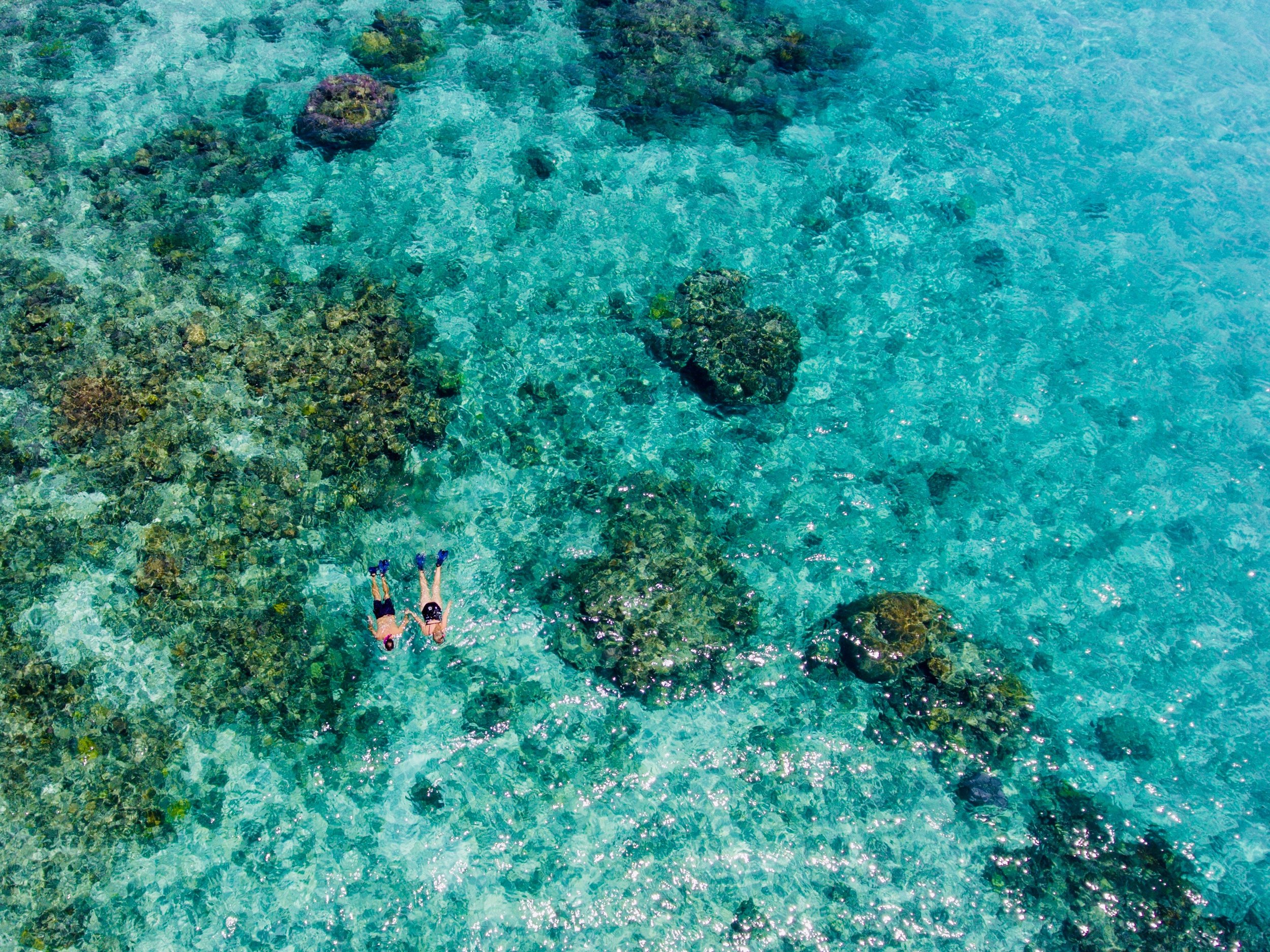 Turtle Island Fiji-snorkeling.jpeg