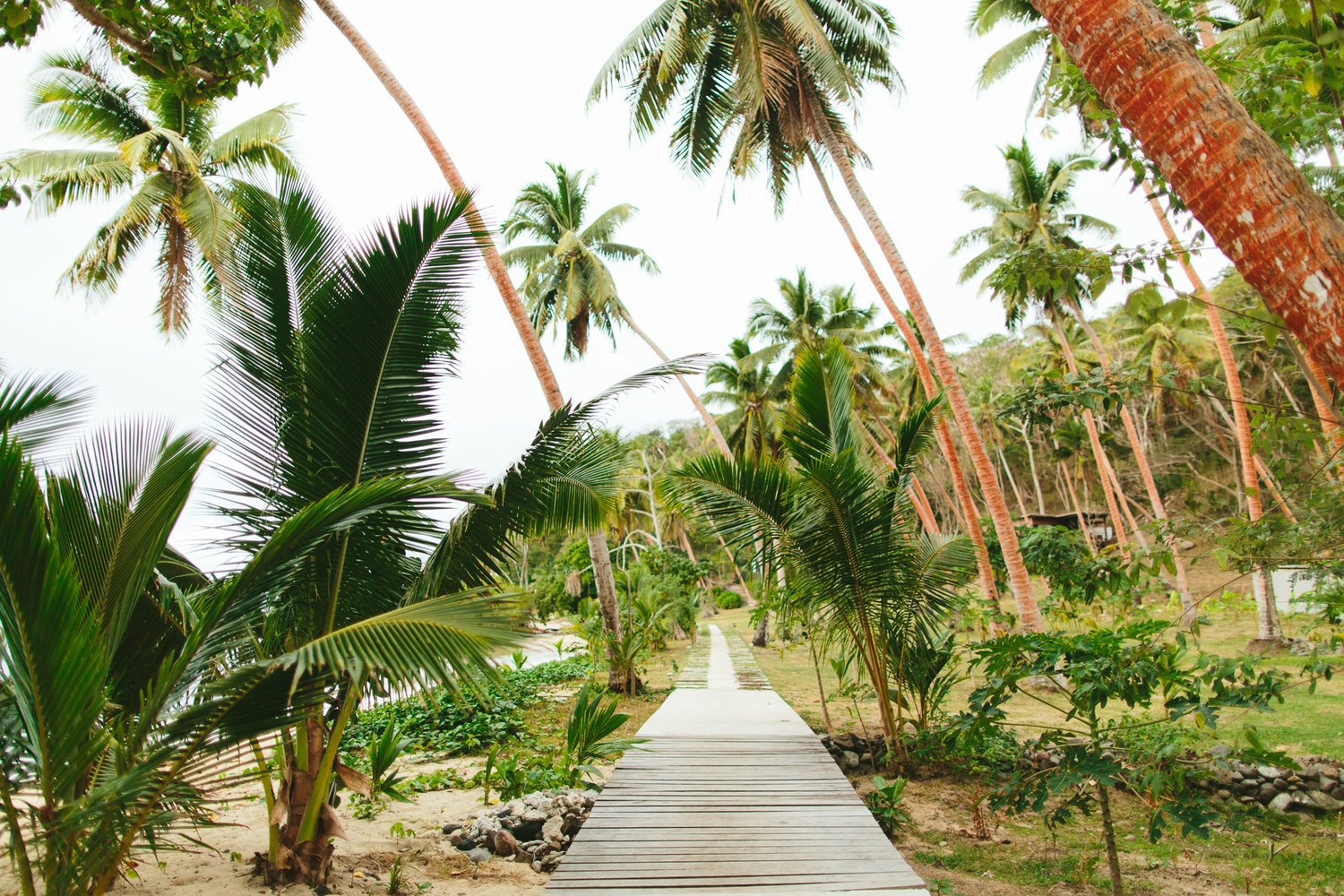 Remote+Resort+Fiji+Islands+Beach+side+path.jpg