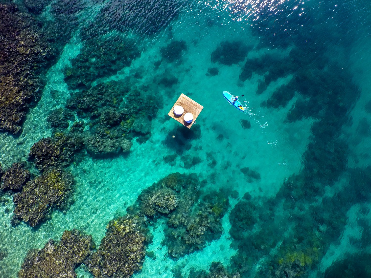 Remote+Resort+Fiji+Islands+House+Reef+Pontoon.jpg