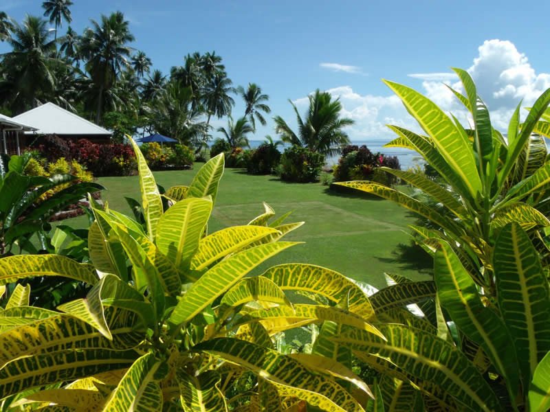 aroha-gardens-taveuni-large.jpg