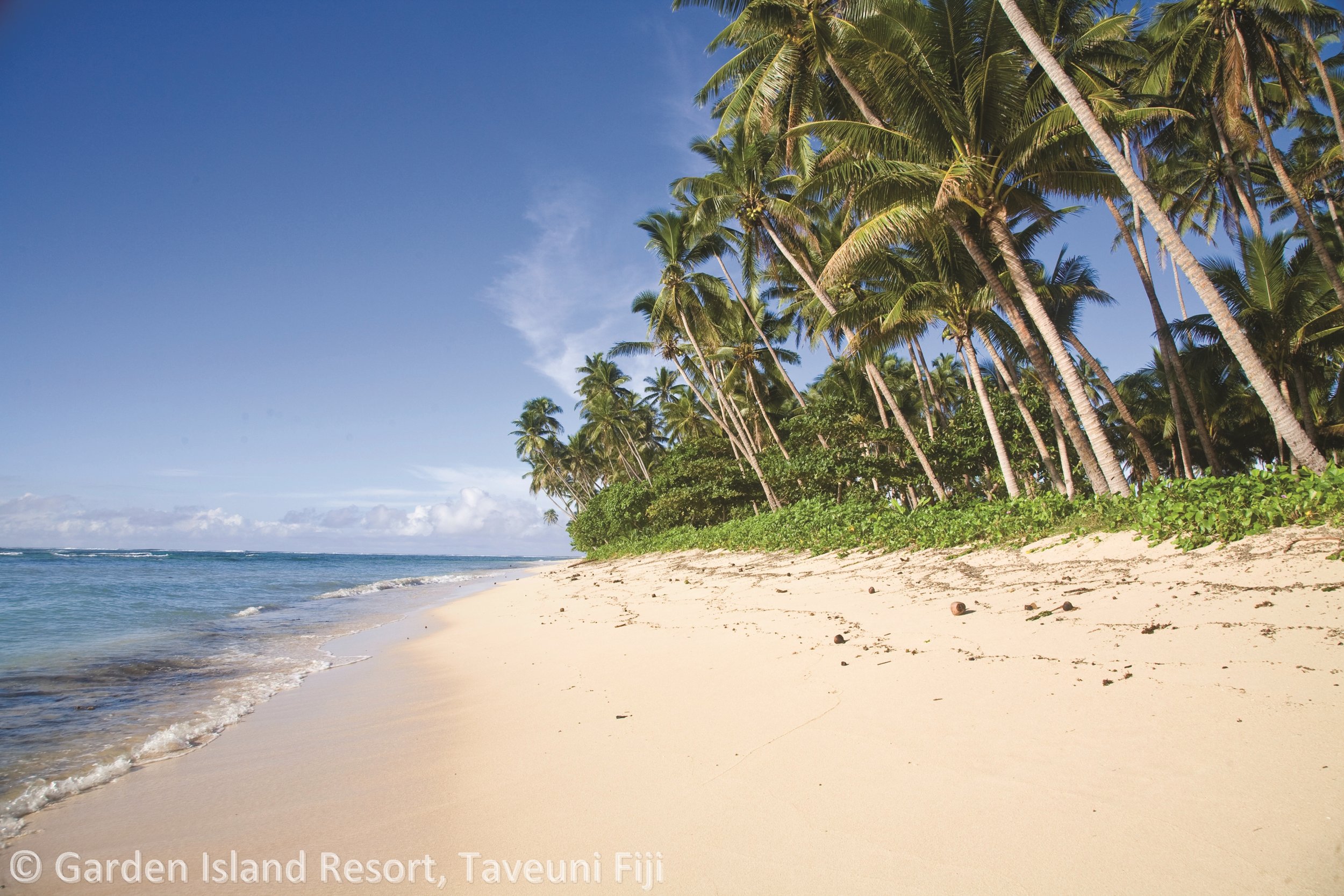 GIR - Taveuni -beach.jpg