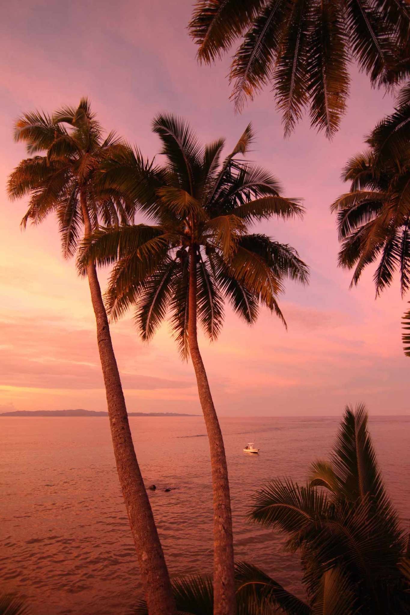 guestphotos_sunset-from-the-beach-villa-at-taveuni-palms-fiji.jpg