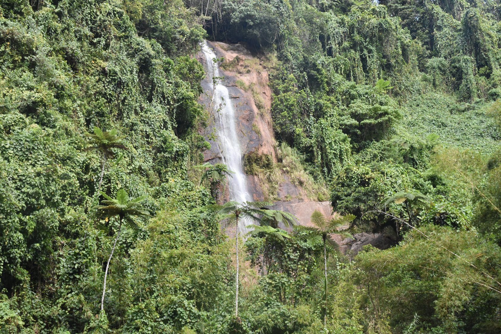 Picture: Discover Fiji - Village &amp; Waterfall Tour