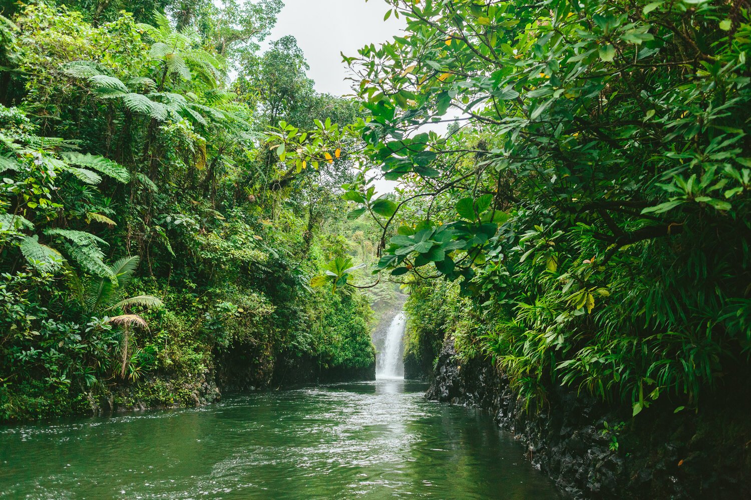 Picture: The Remote Resort - Bouma Falls