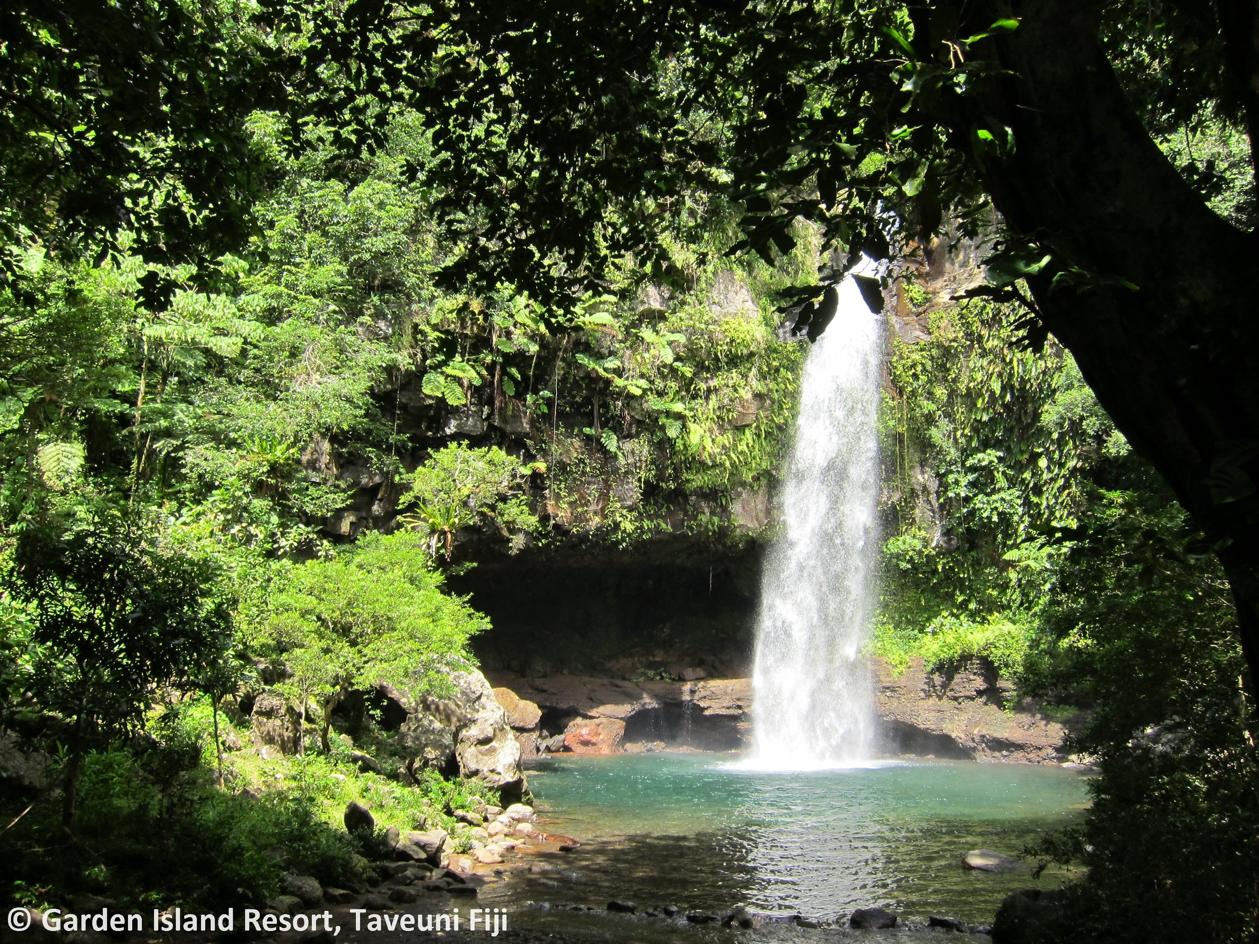 GIR - Taveuni - Bouma.JPG