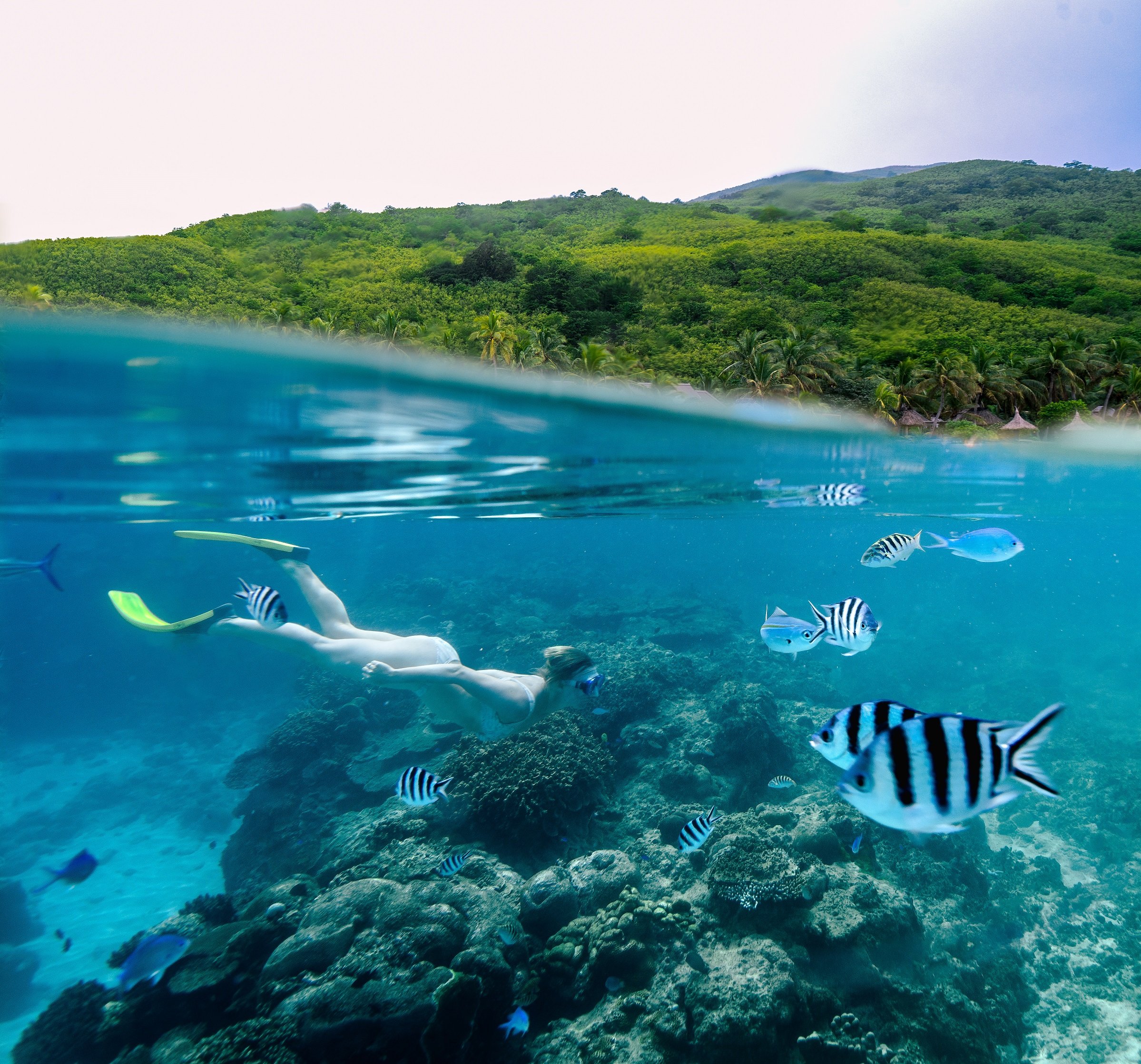 House reef snorkel 2.jpg