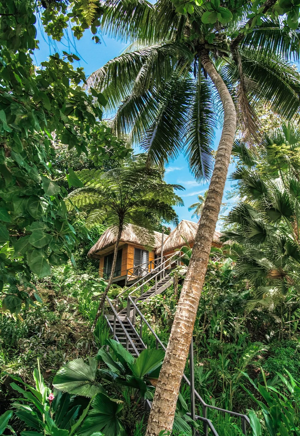 luxury-fiji-accommodation-treehouse-palms (1).jpg