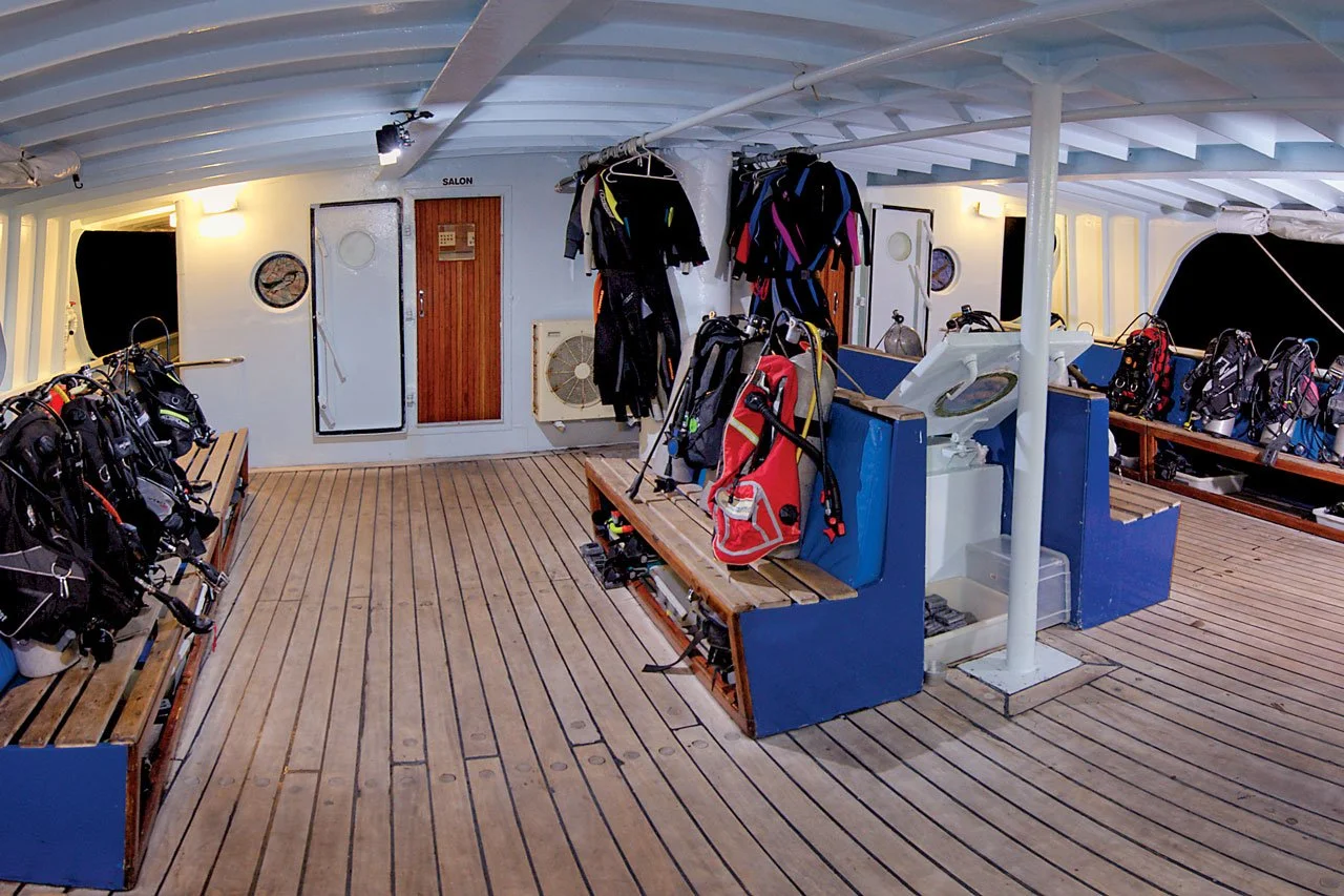dive-deck.jpg