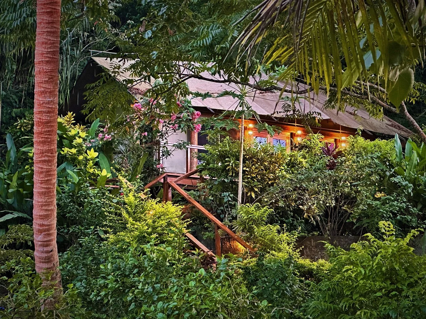 luxury-tented-treehouse (1).jpg