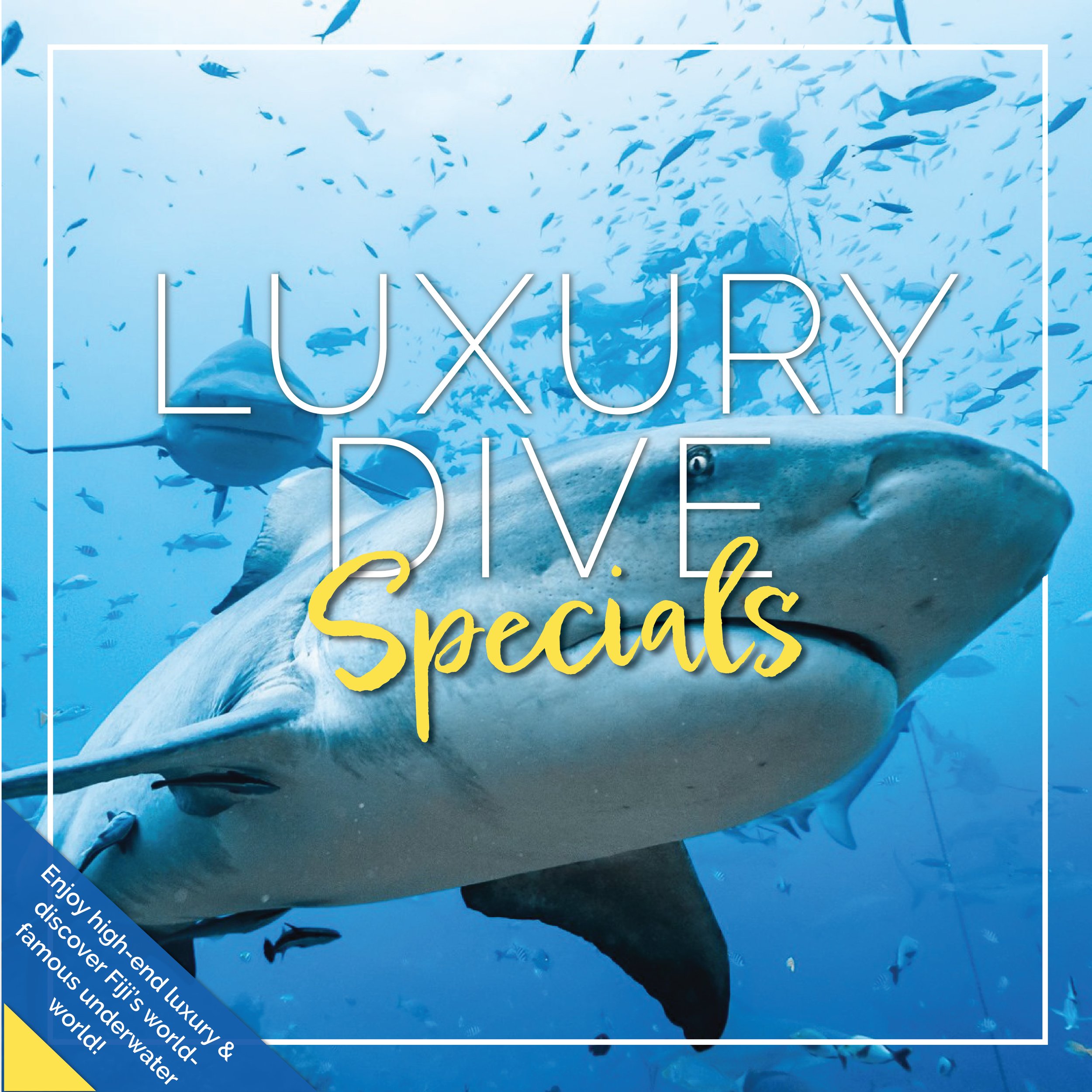 UFV Dive Specials-06.jpg