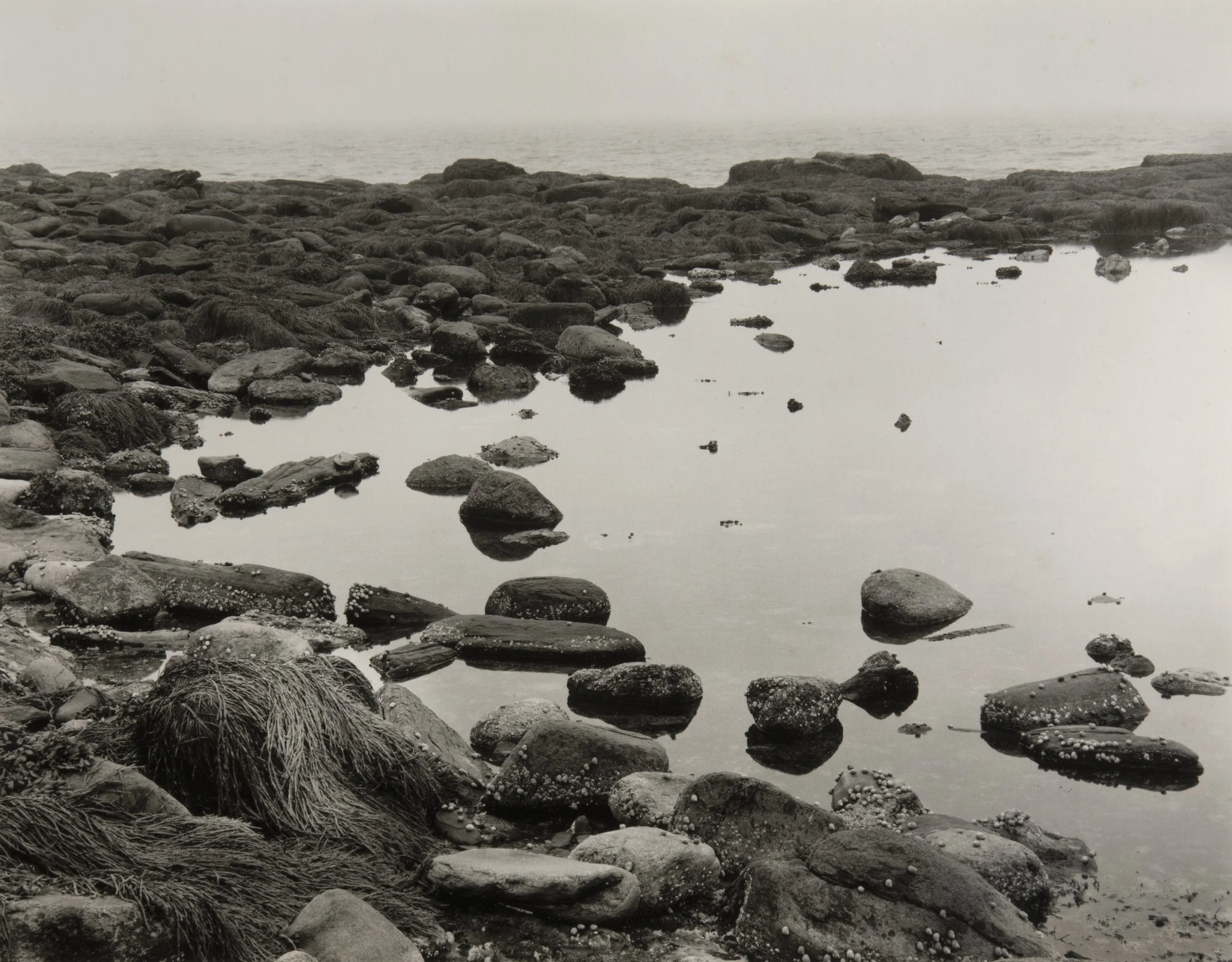 Rachel Carson Tide Pool, New Harbor, ME