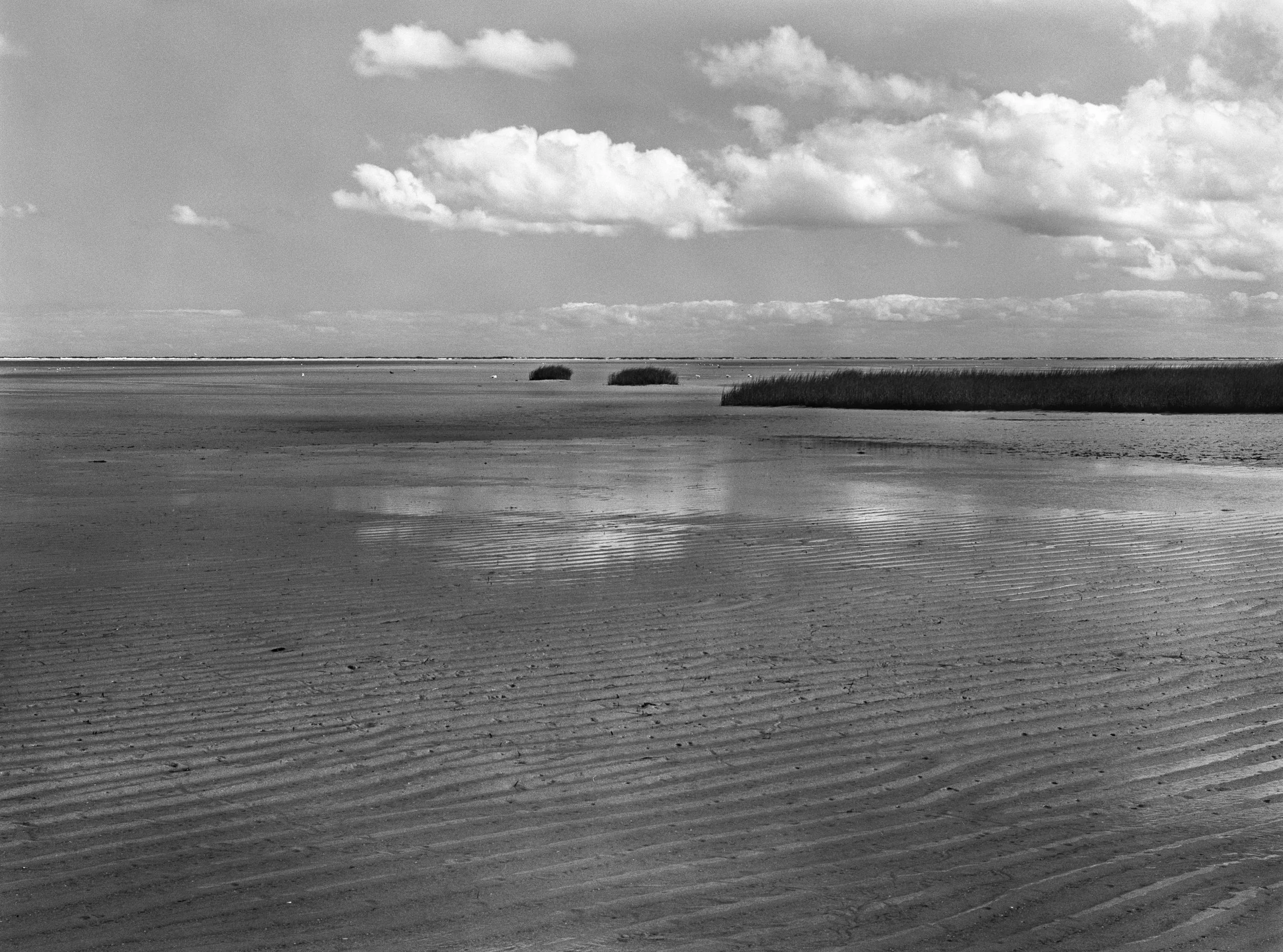 Tidal Flat, Brewster, MA