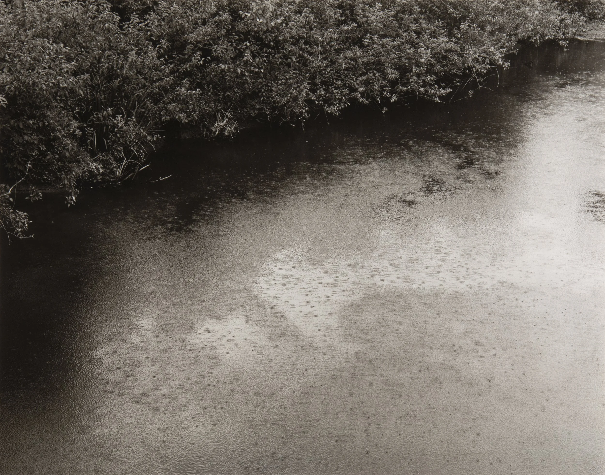 Spring Rain, Shaftsbury, VT