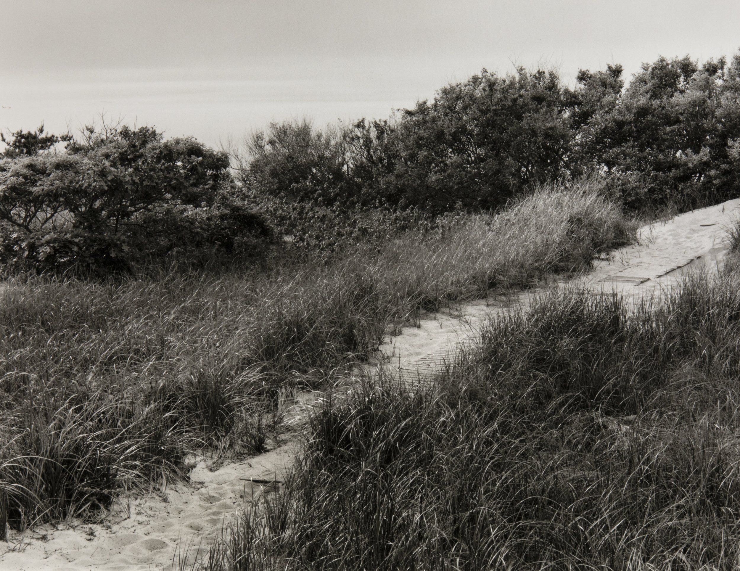 Aiyra's Path, Cape Cod