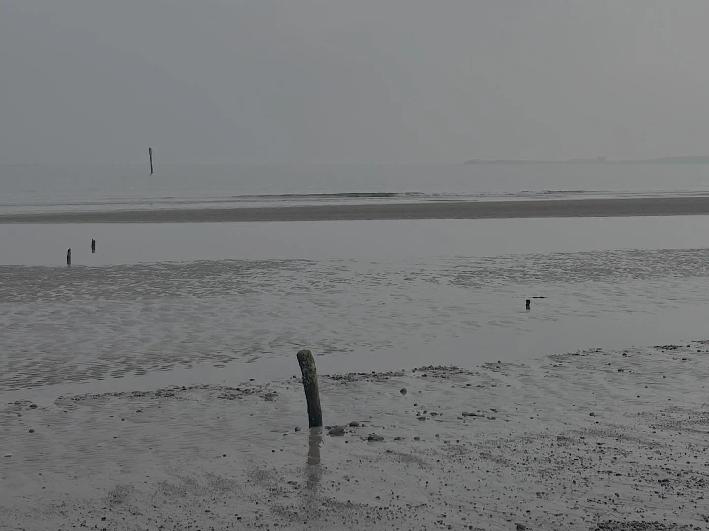 Thank You!

A huge thank you to everyone who visited during North East Open Studios. It was such a joy to welcome you into my space, share my work, and have so many thoughtful conversations&mdash;I came away feeling inspired and grateful.

Now I&rsqu