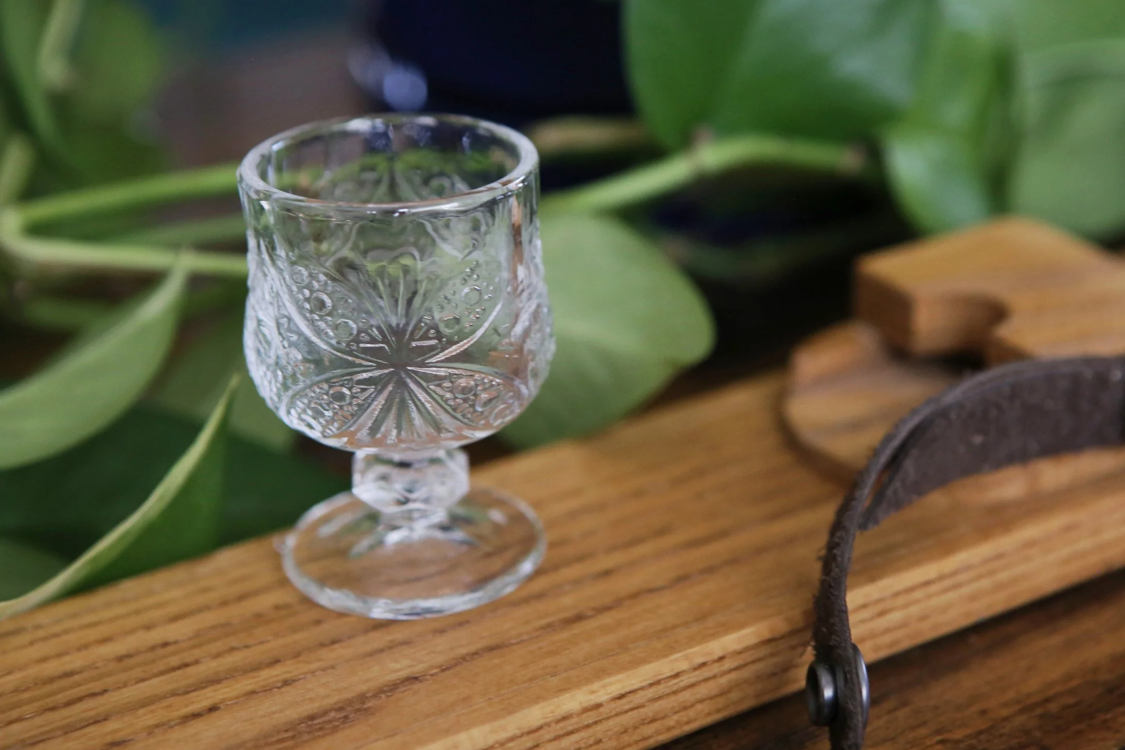 4 Extra Alpine Sherry Shot Glasses