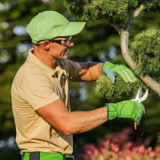 What Can a Professional Landscaper in Eastside Seattle Do For Your Yard?