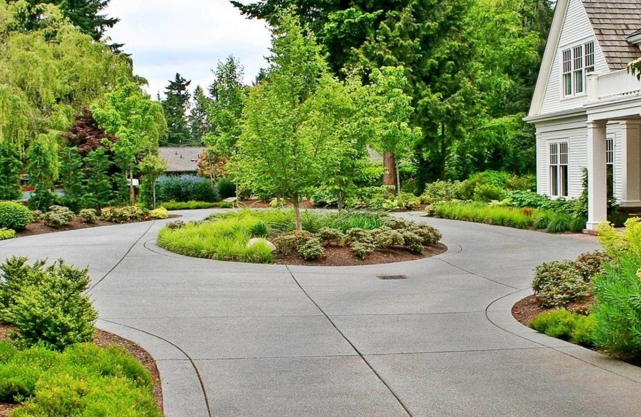 Bellevue driveway landscape with lawn, trees, and planting beds