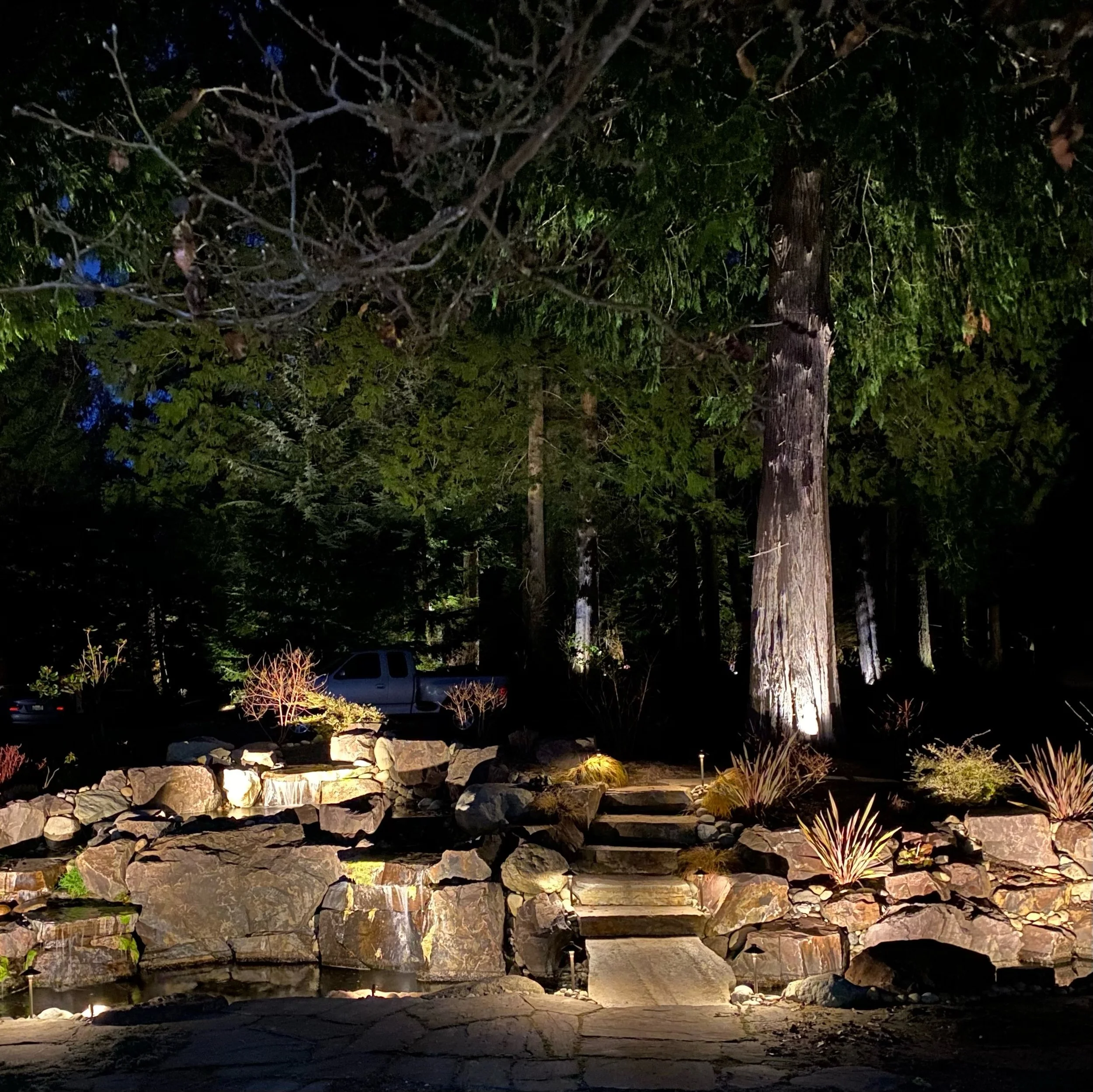 Landscape lighting around trees and garden beds in Medina 