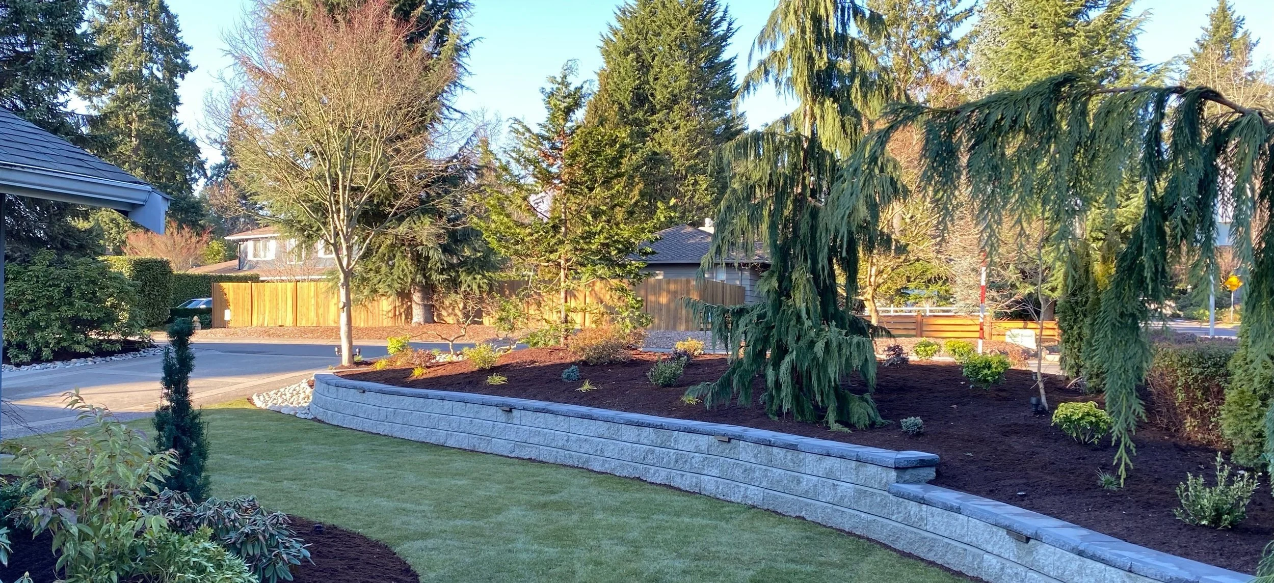 Medina front yard landscape design with lawn and curved walkway 