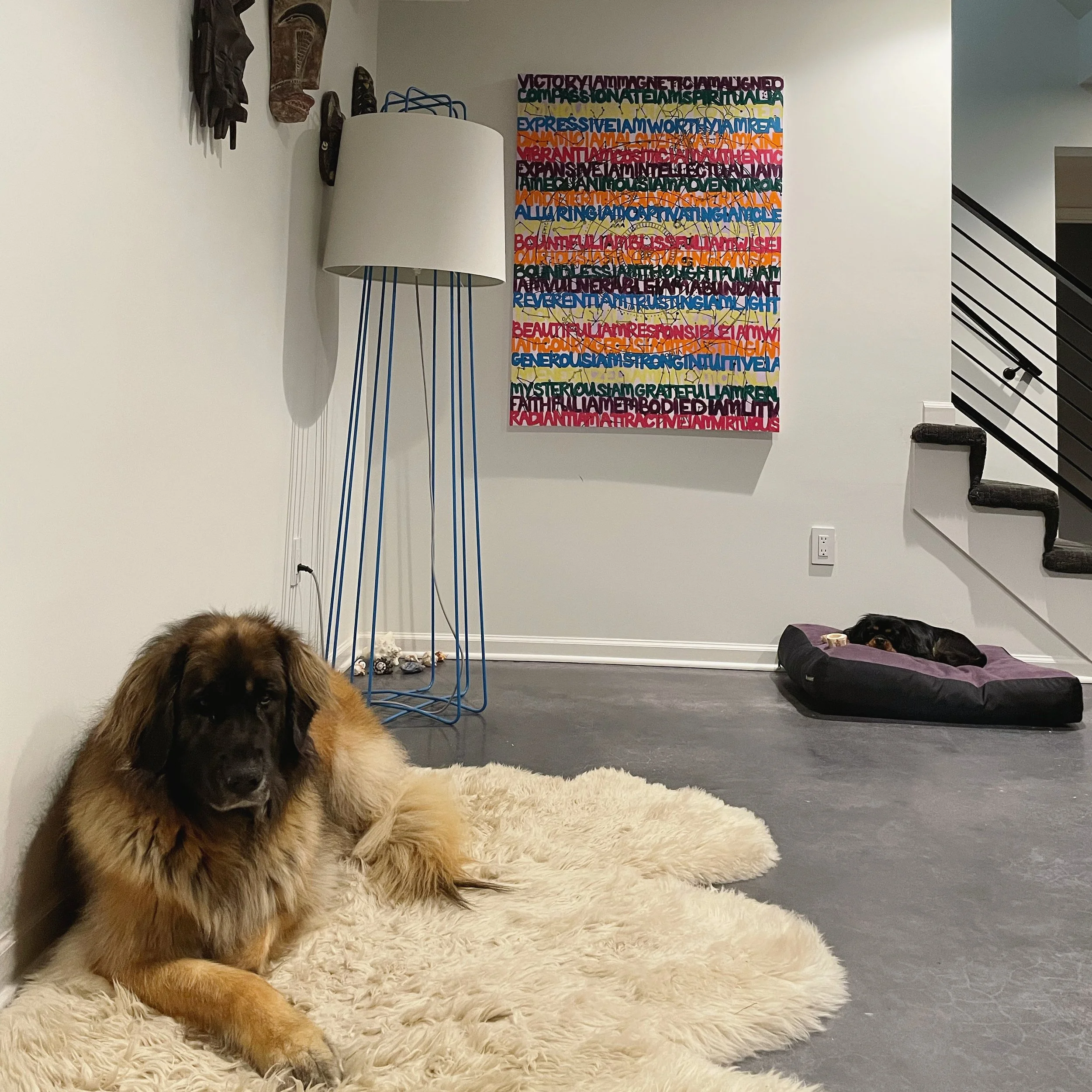 Pups lounge