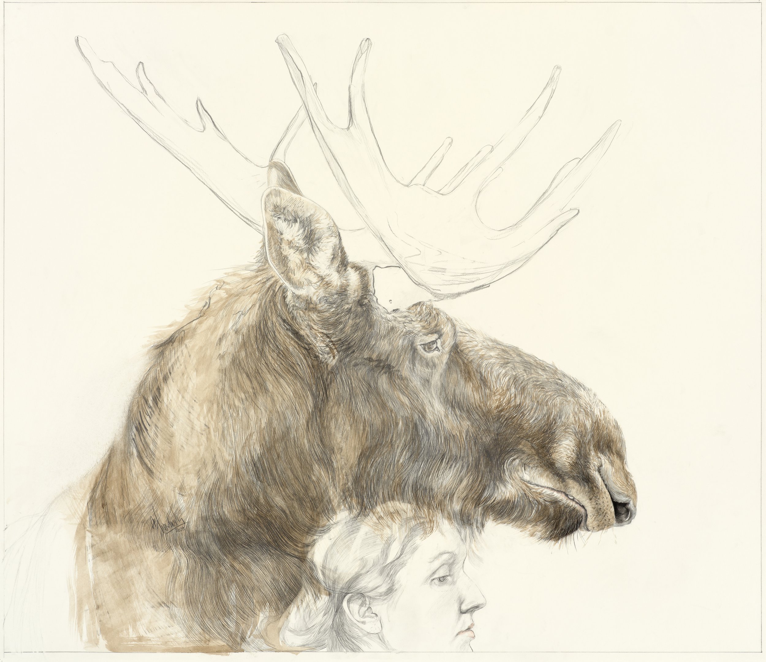 FICTION No. 1 Ink with pencil on paper 36.5 x 42.5" 2025