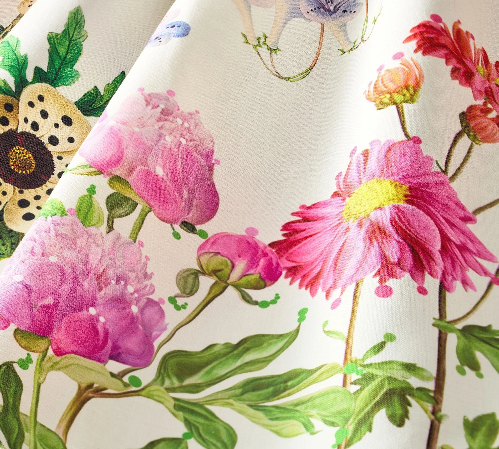 PB x Cynthia Rowley