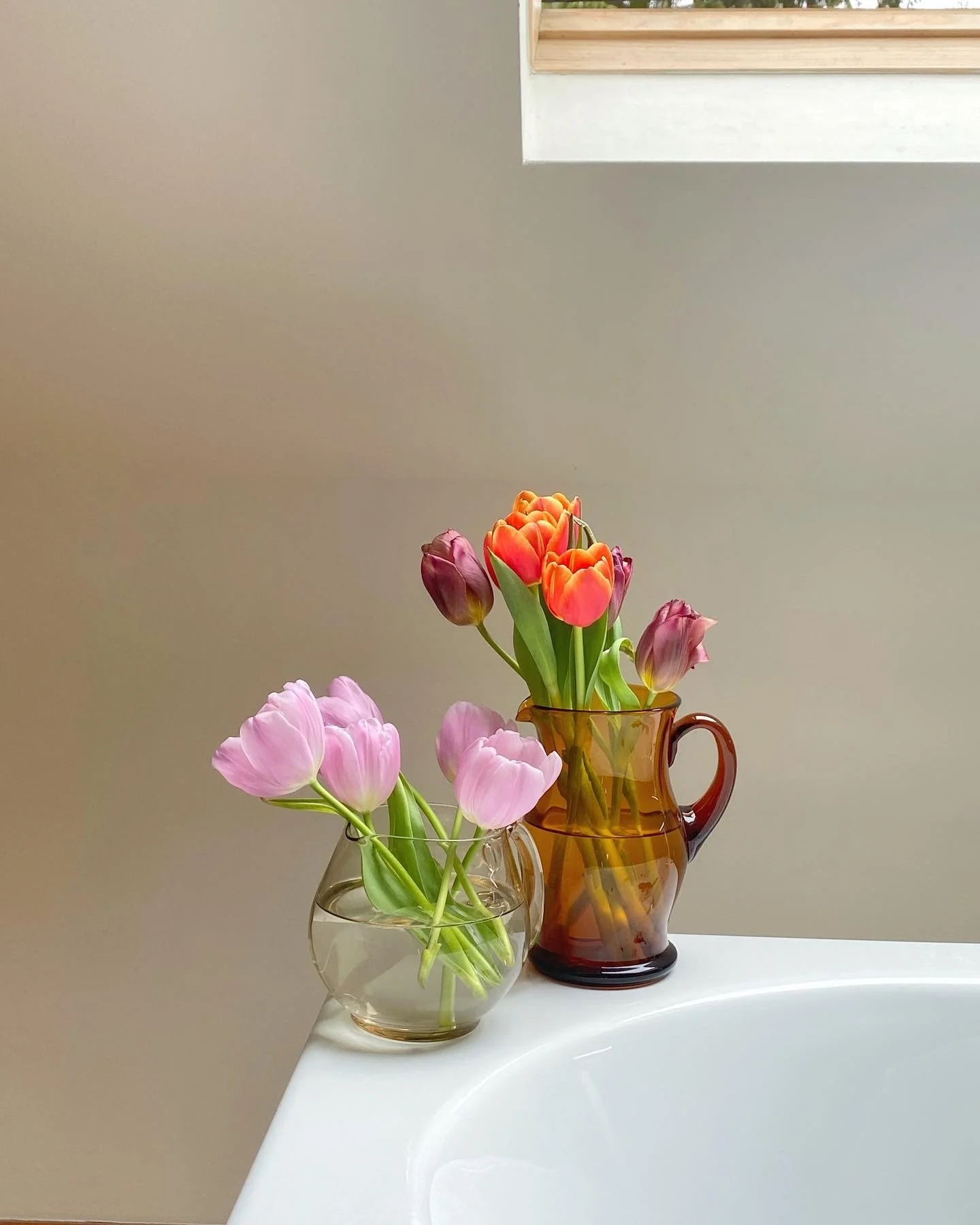 A42F209A-40DF-48ED-96AD-5FDD0C59AA46.JPG