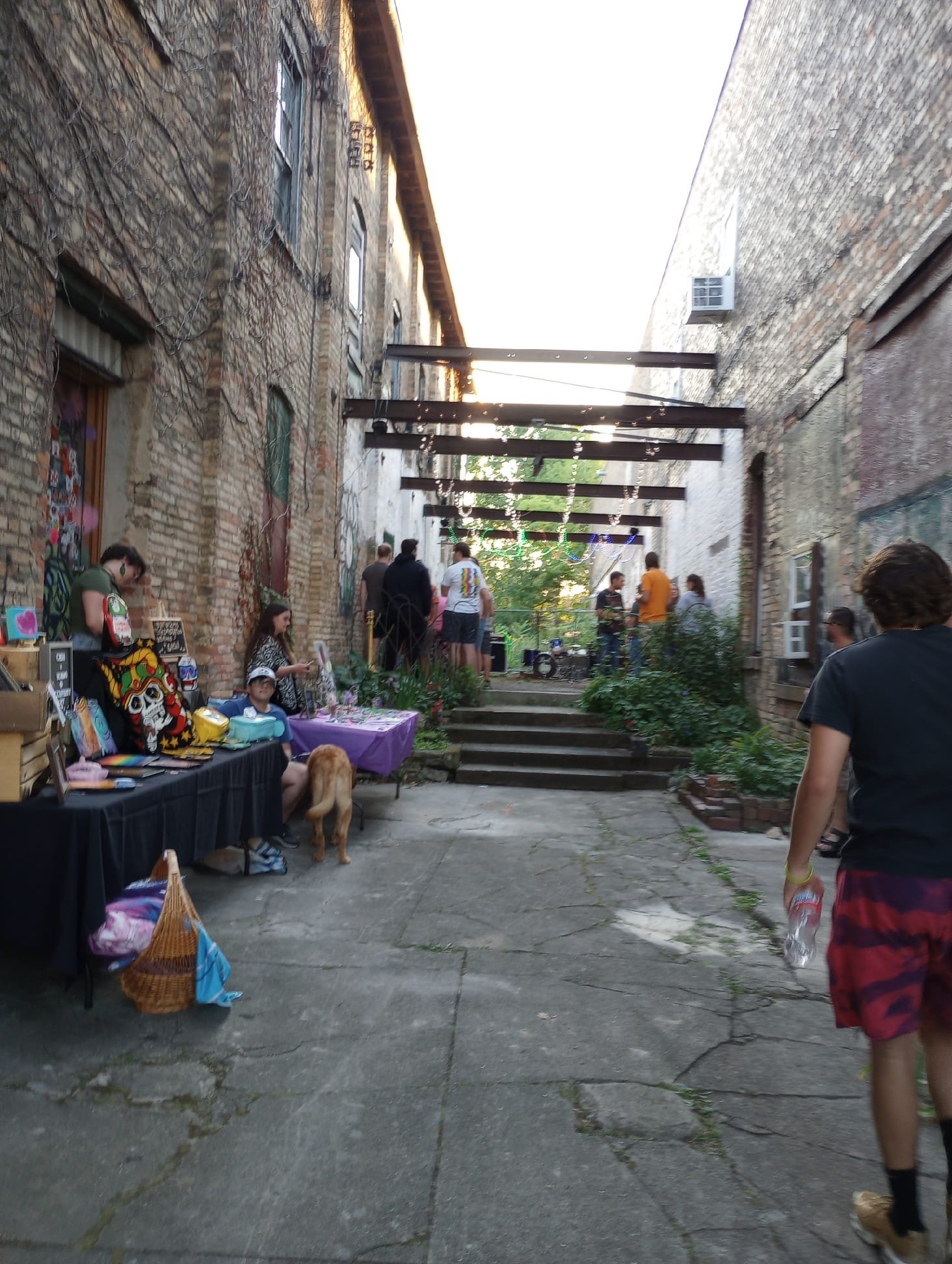 Alley Show.jpg