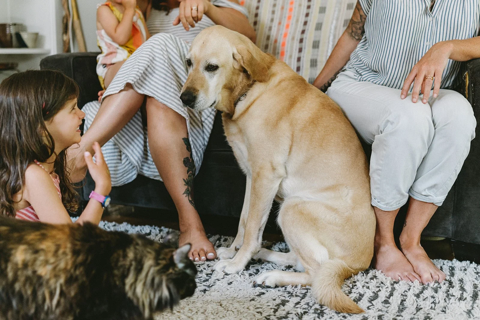 family-portrait-home-pets-film-portland-oregon.jpg