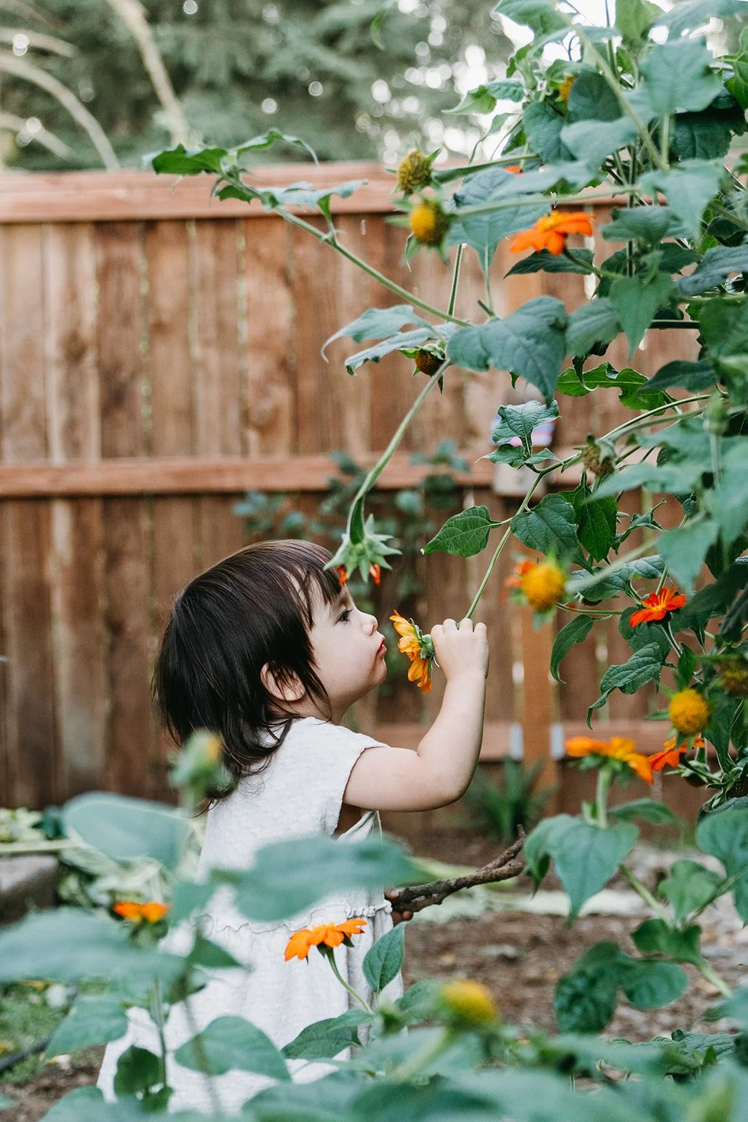 toddler-garden-flowers-summer-portrait-portland-oregon.jpg