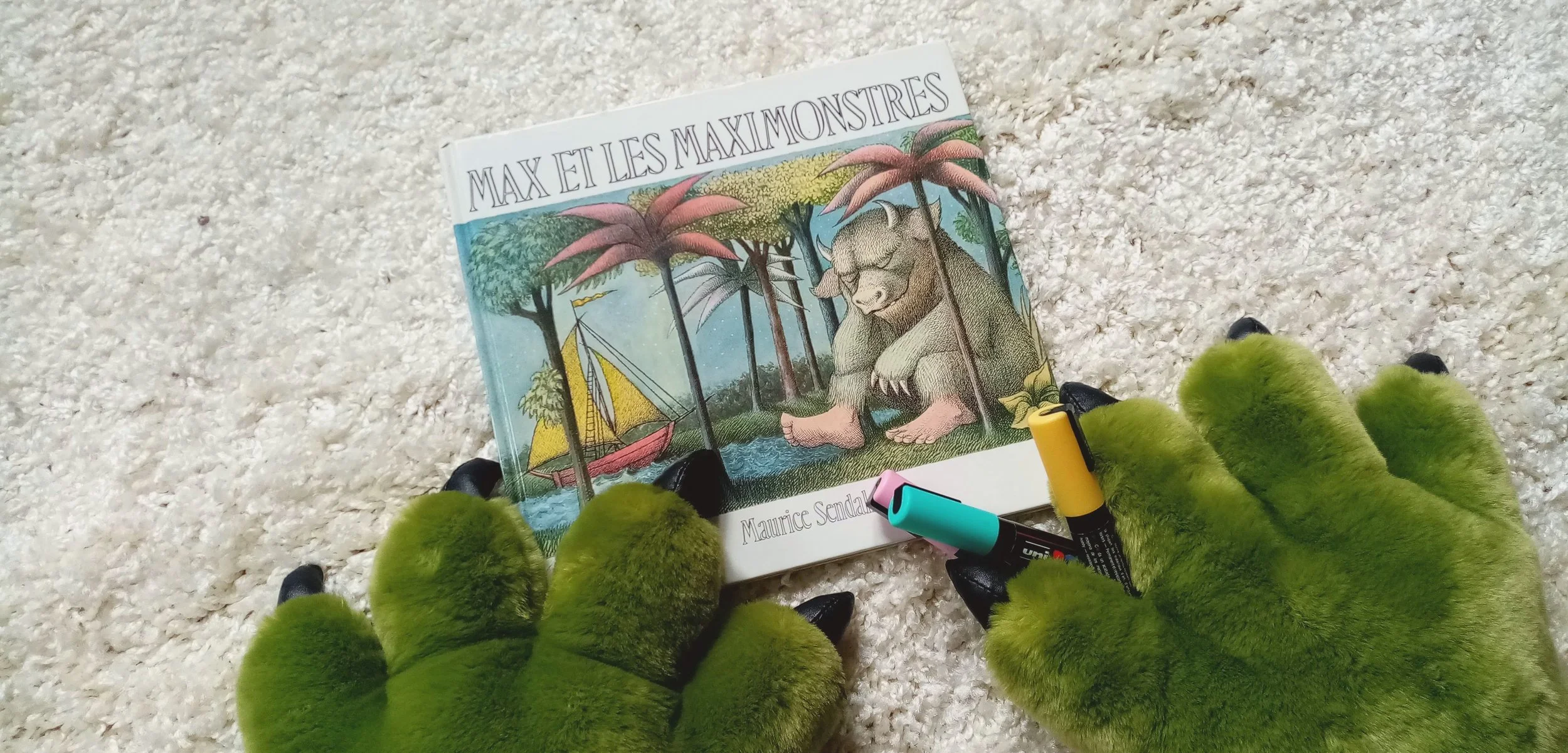 Livre illustré