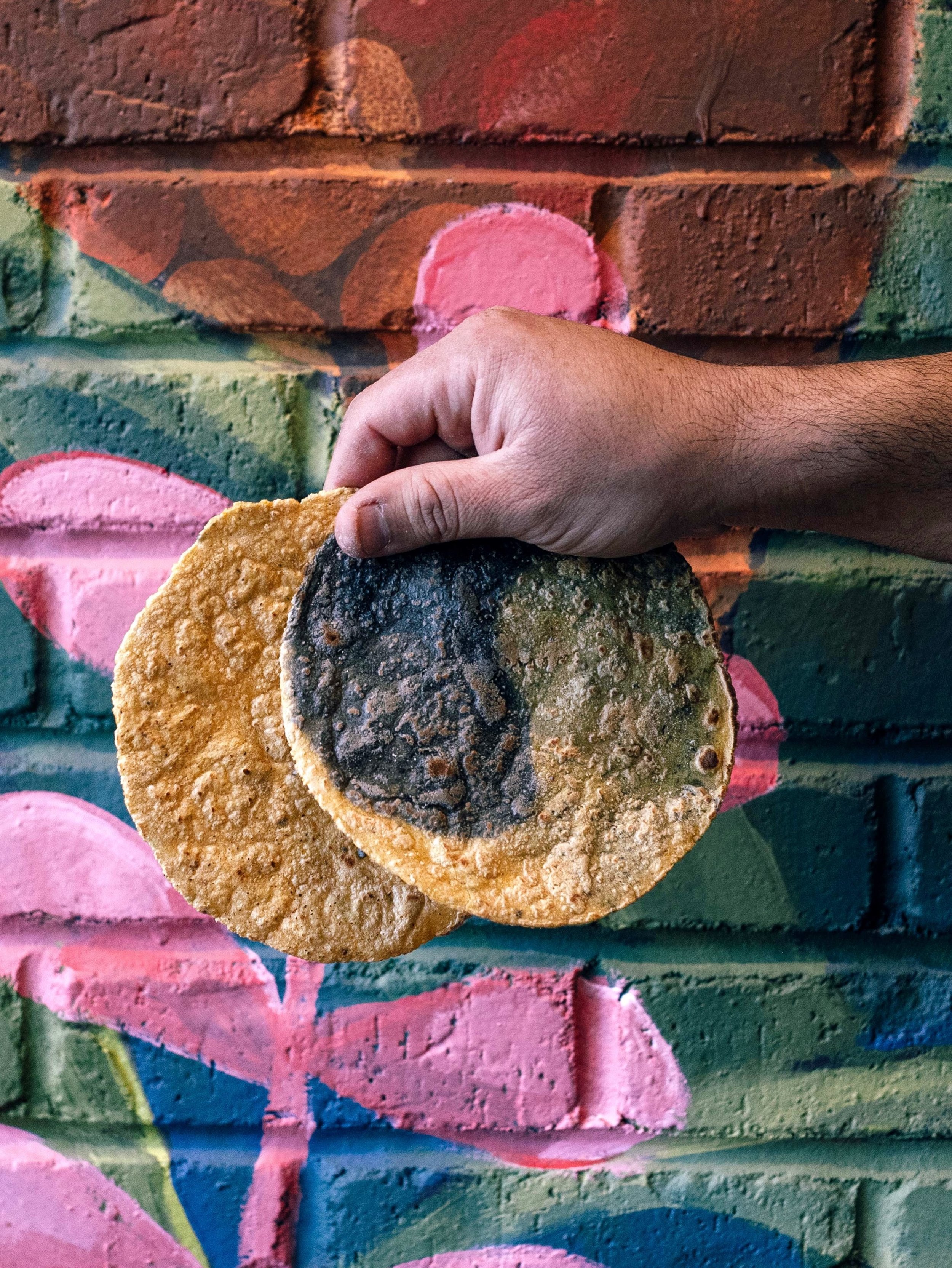 We are so excited to make the cover for @EdibleDenver&rsquo;s relaunch! Collaborating with Edible&mdash;and having a place to pitch the stories we&rsquo;re genuinely excited to write&mdash;has been such a meaningful part of our work to champion the C