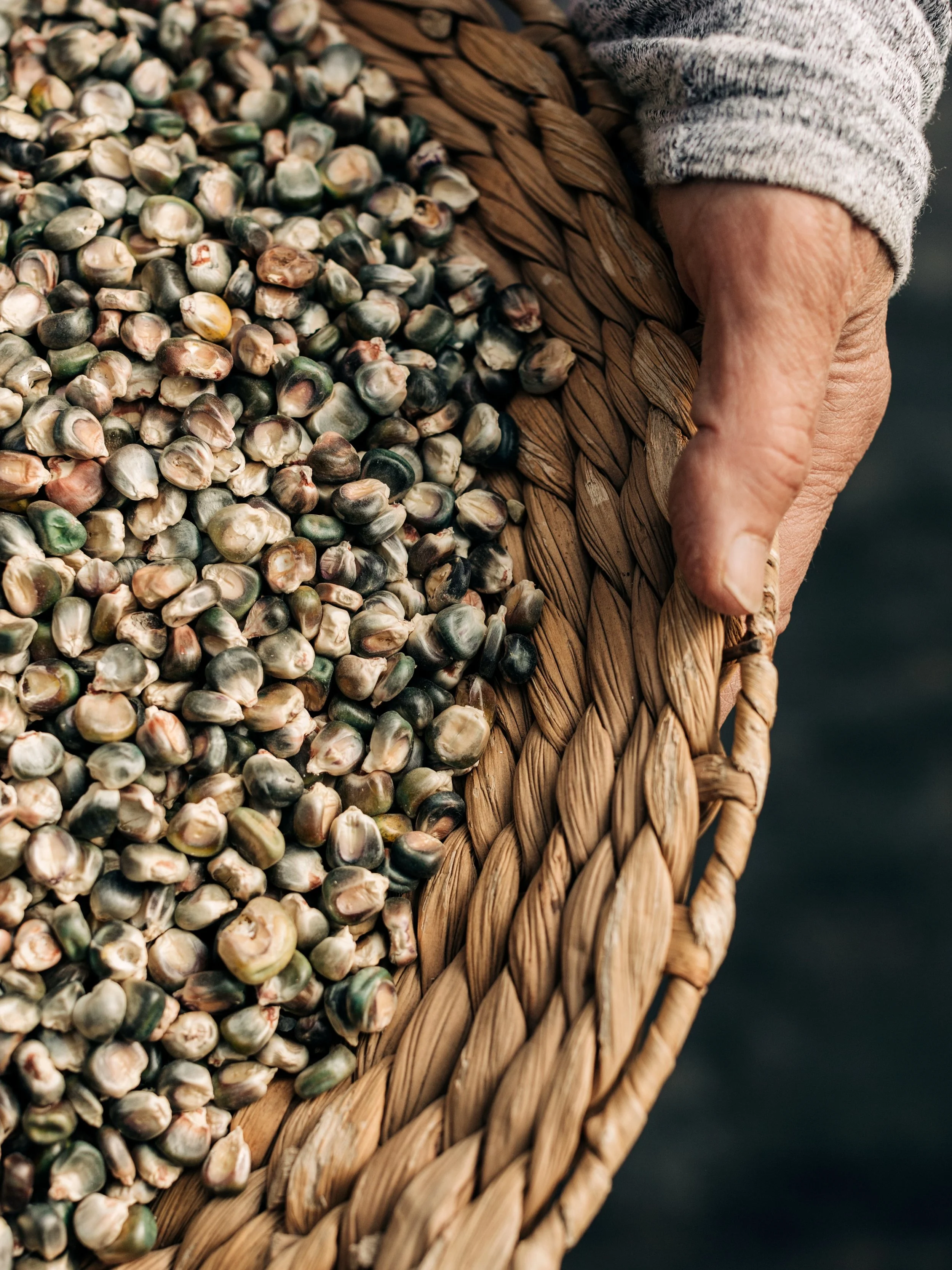@EdibleDenver #Throwback: As we head toward summer&rsquo;s end&mdash;soaking up the most bountiful days at the market&mdash;we found ourselves reflecting on one of the most stunning farm days we&rsquo;ve had in Colorado: a visit to @masaseedfoundatio