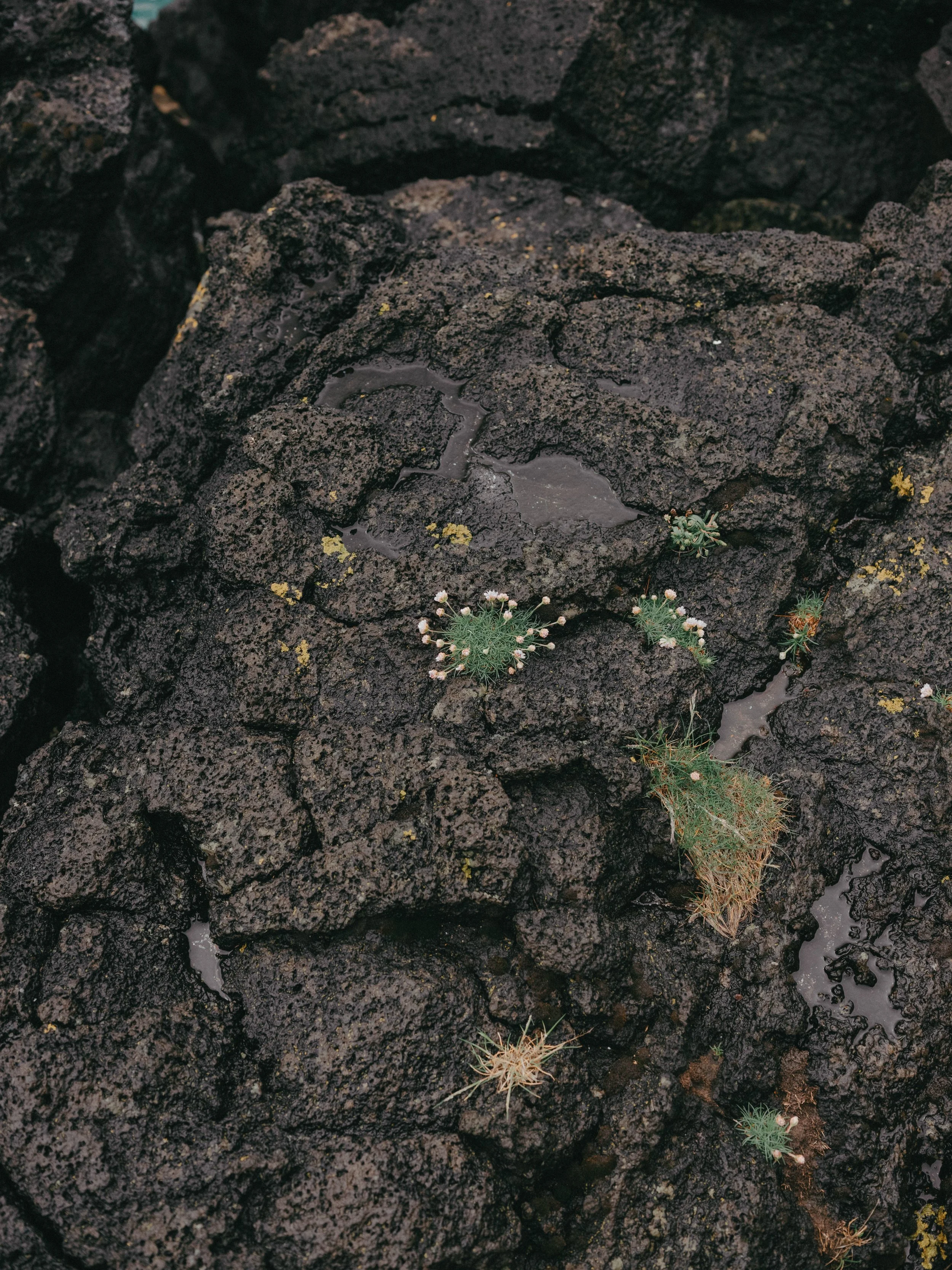 20260608-DSCF6276.jpg