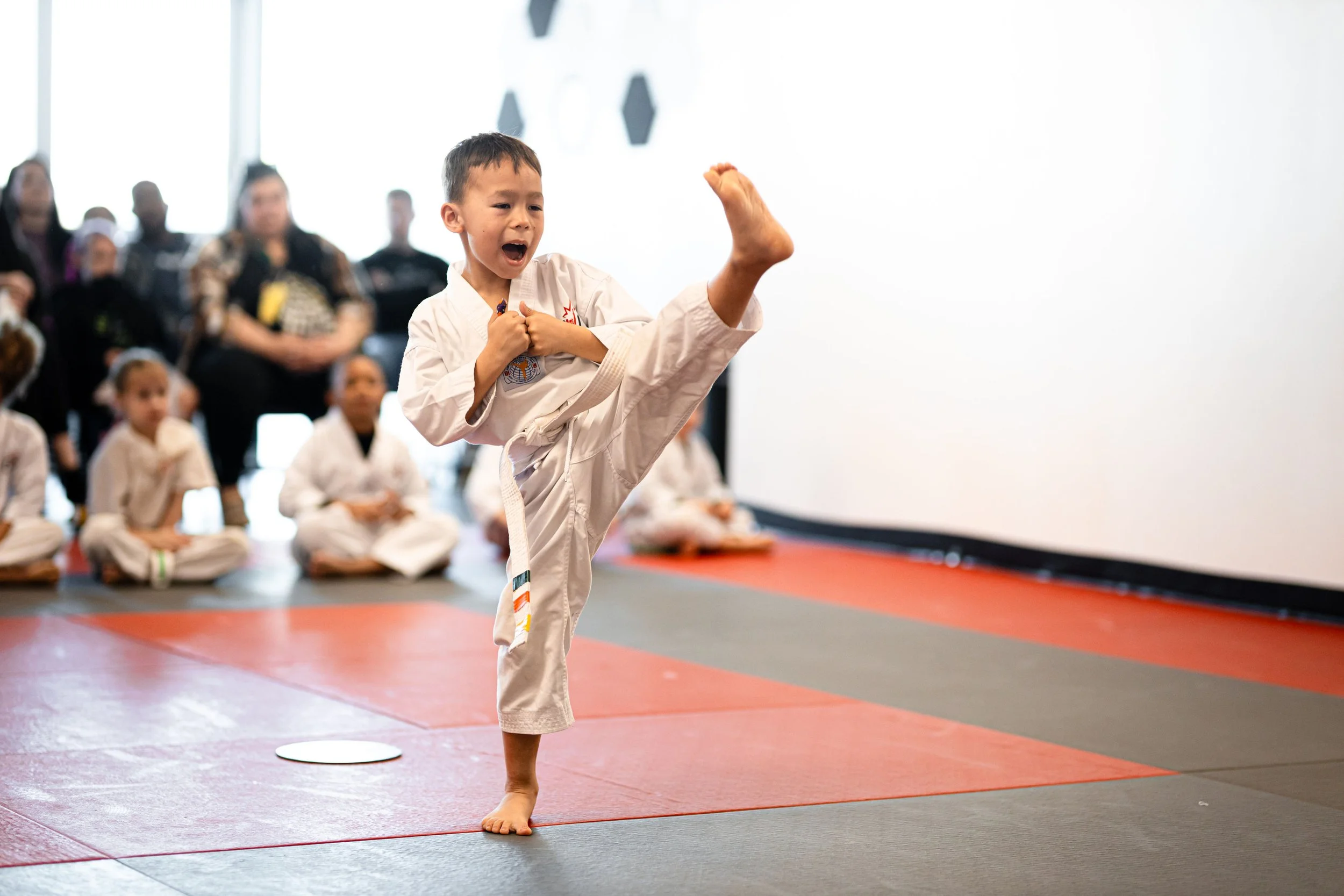 Why Martial Arts Matters 