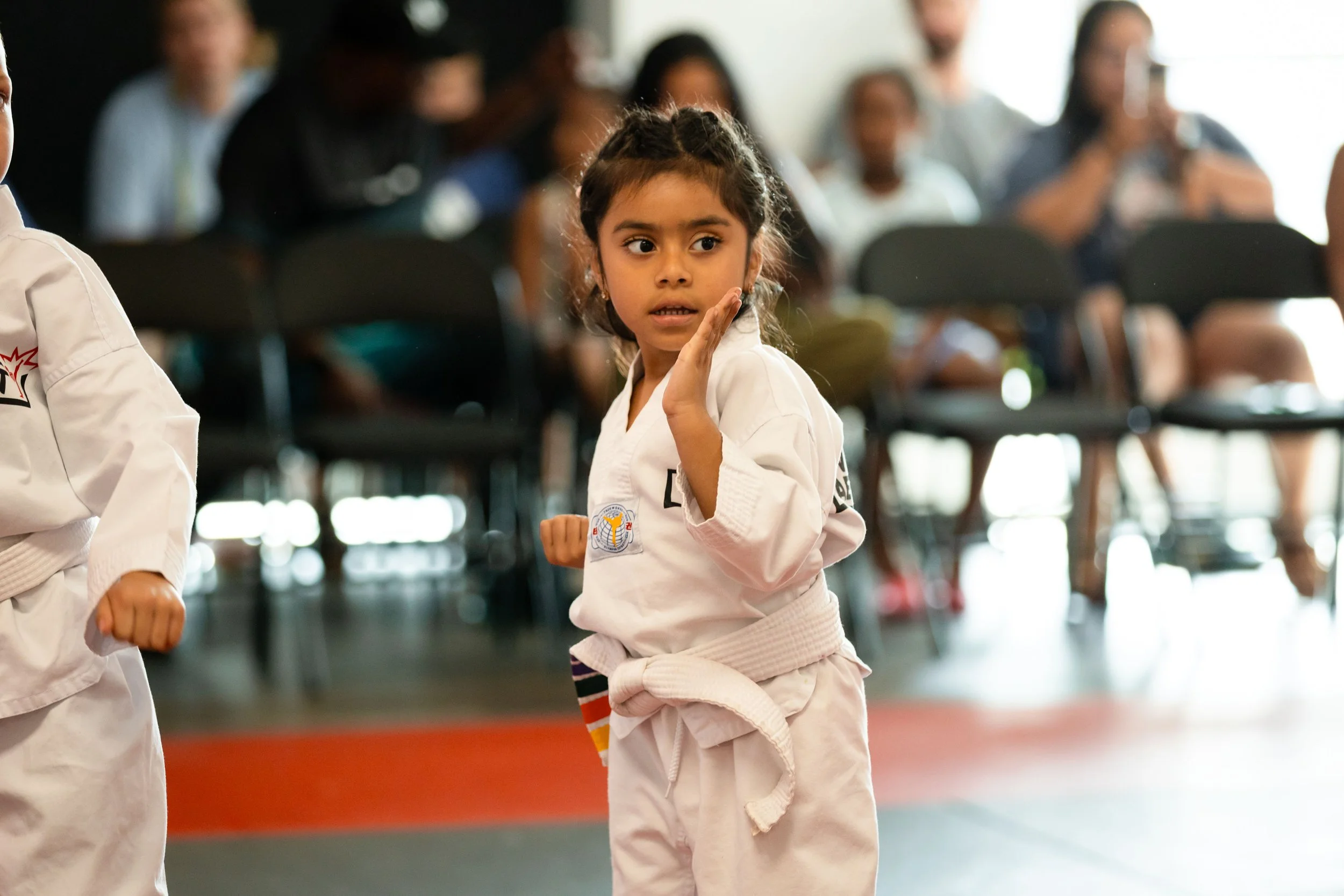 Vertical Taekwondo Lees Summit a girl performs a karate inside palm