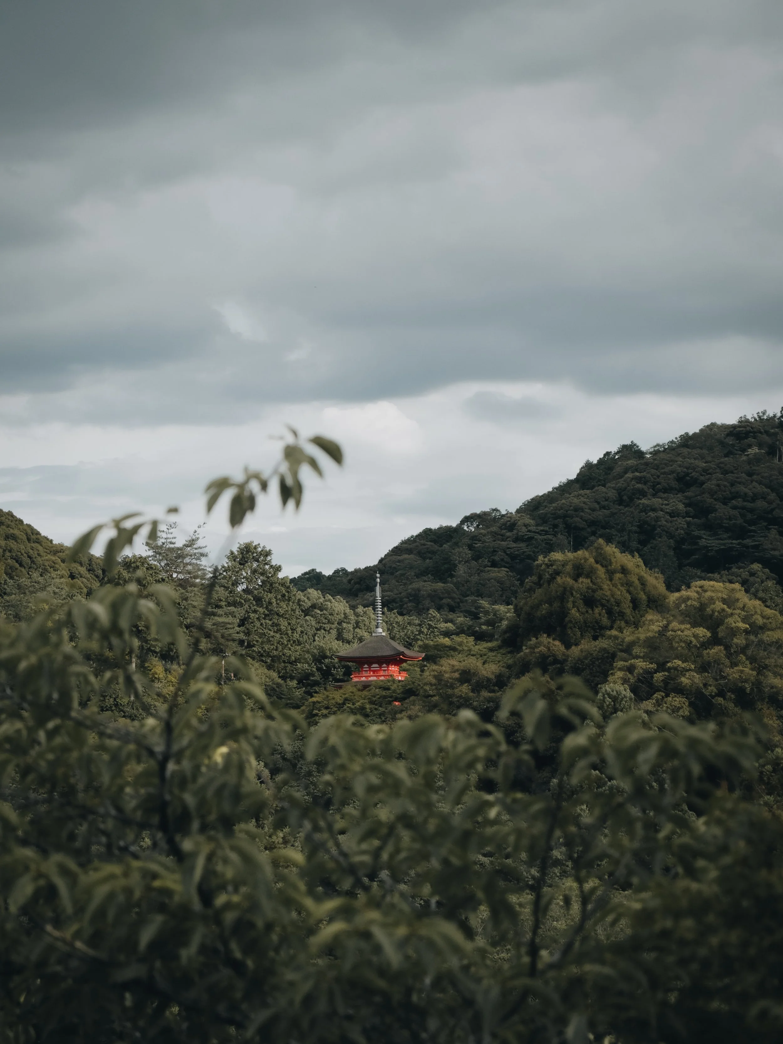 vertical-Instagram Export-2.jpg