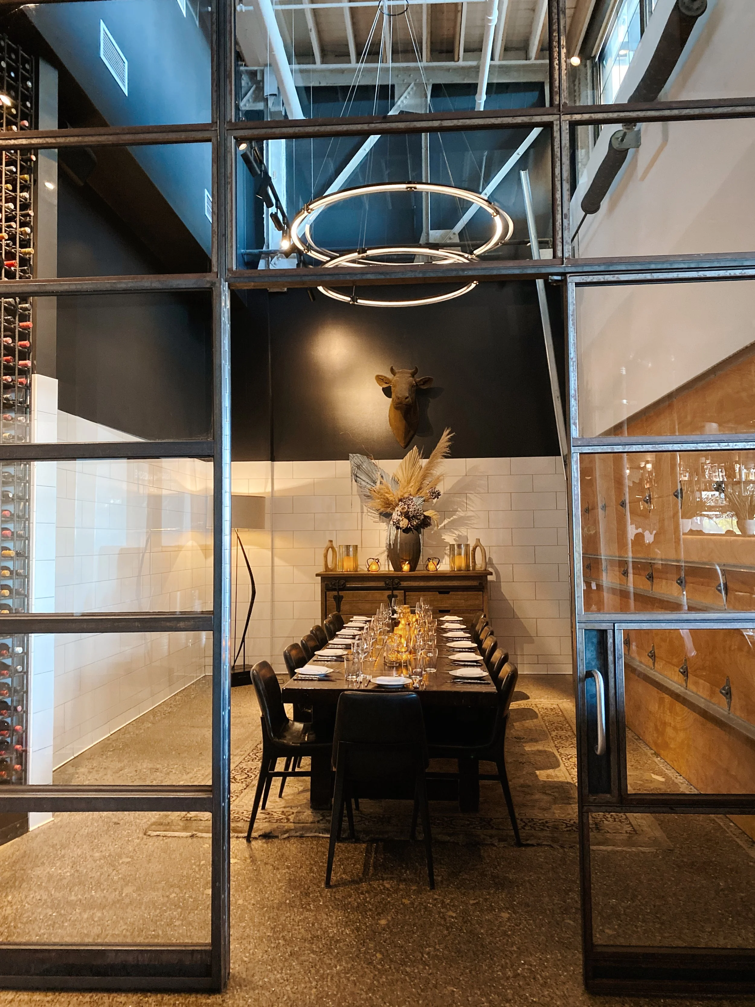 Knotty (regular).JPG