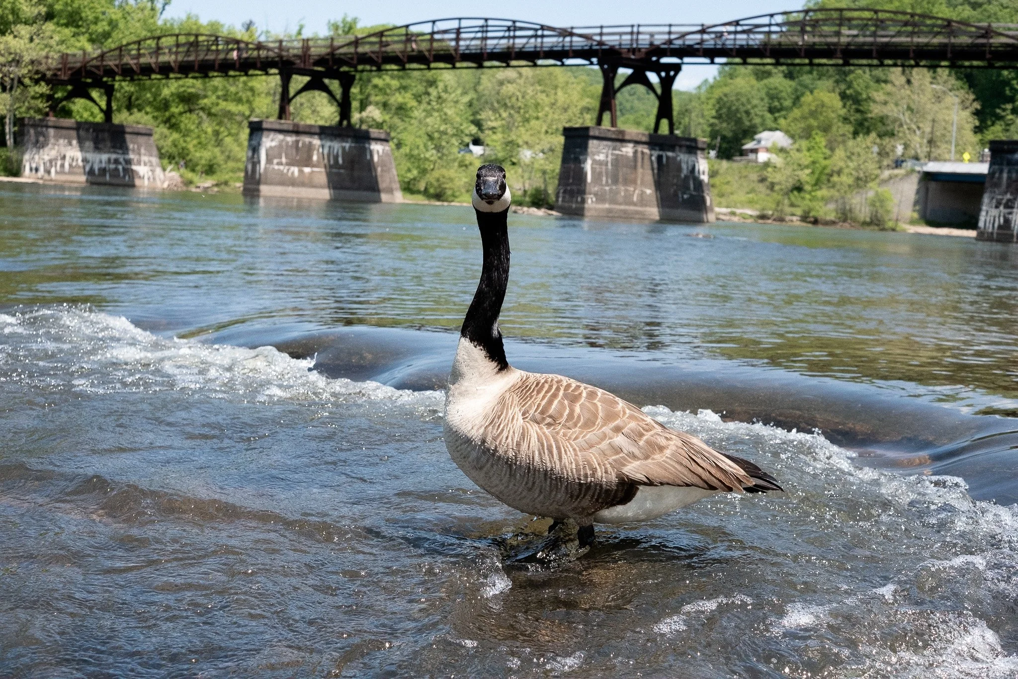 DSCF4840.jpg