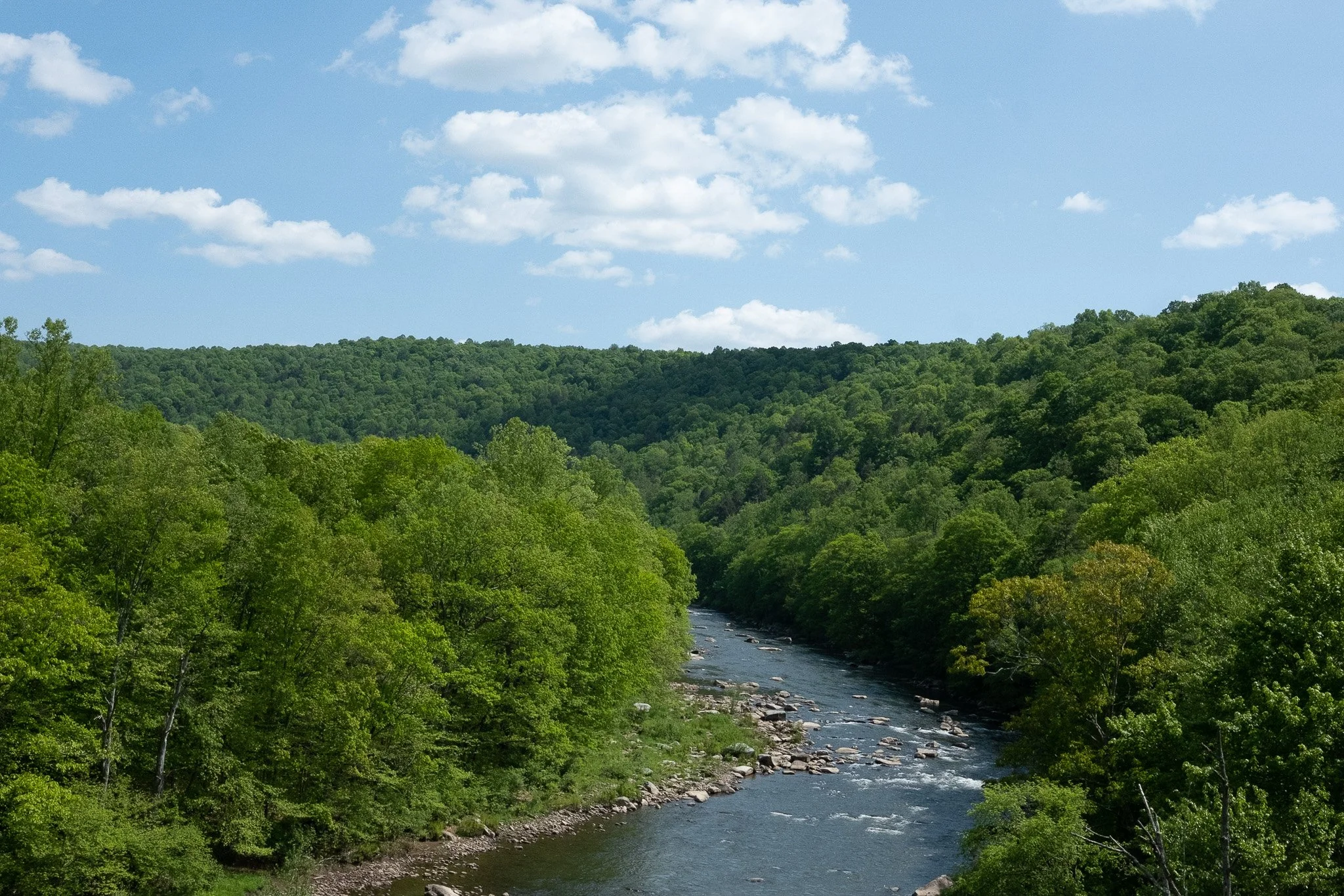 DSCF4852.jpg
