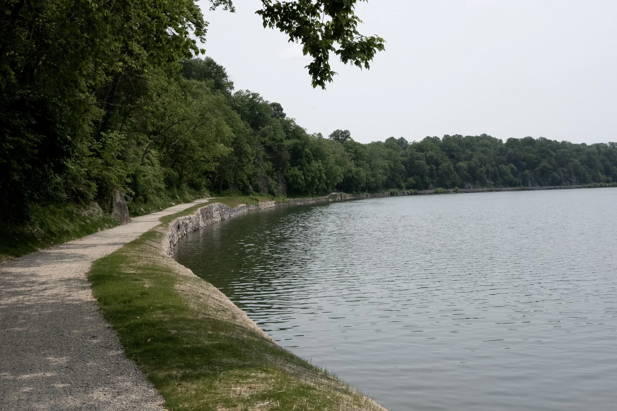 DSCF5048.jpg