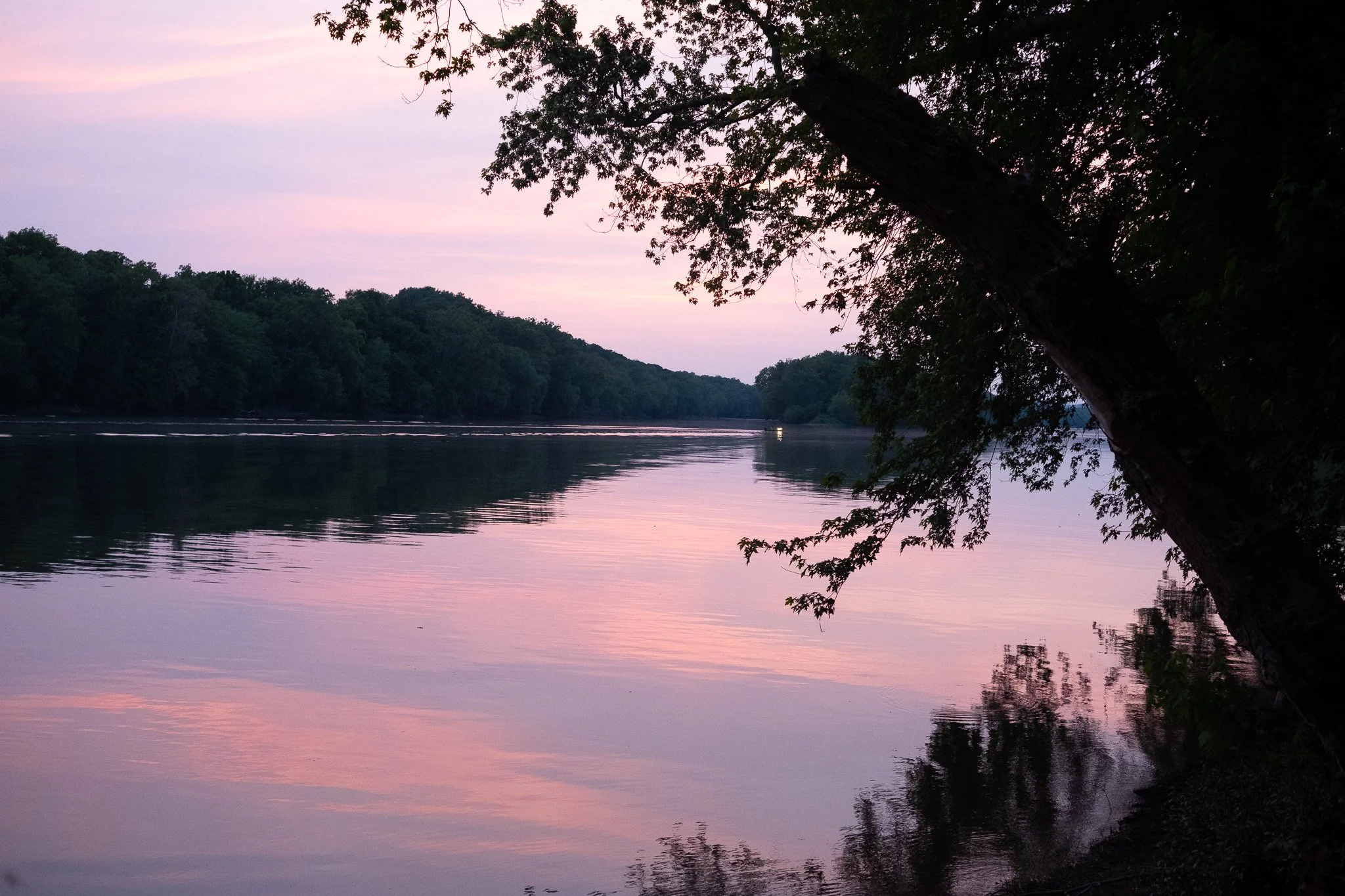 DSCF5135.jpg