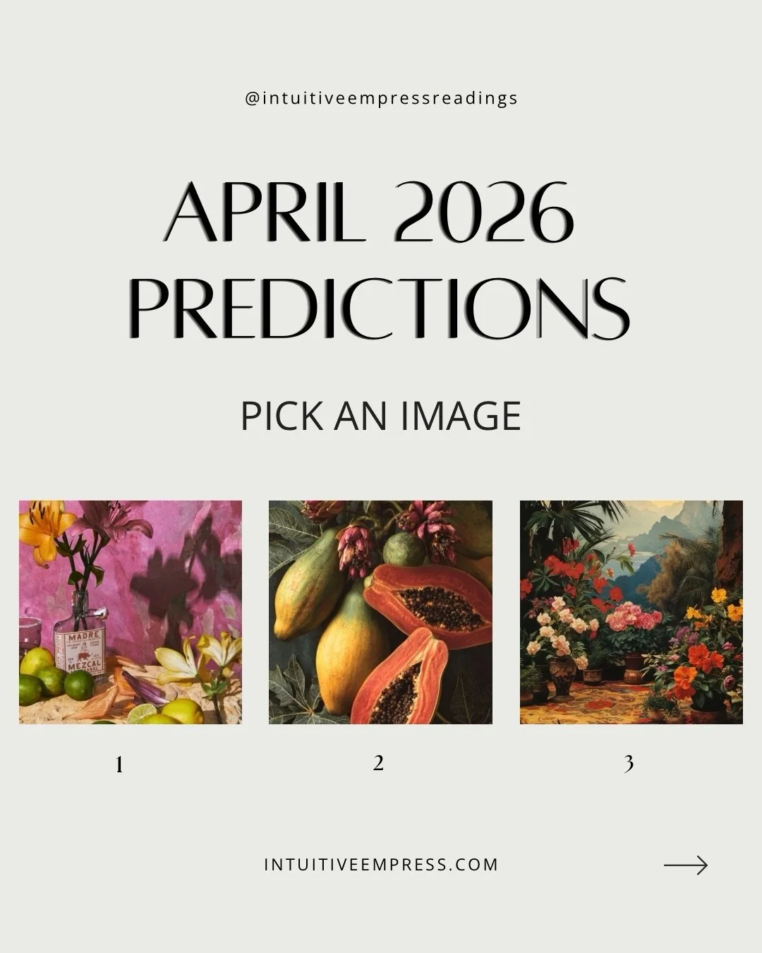 🌷🍋🫟🥚 april (personalized) monthly forecasts can be purchased using the link in my bio, for a more in-depth analysis of your month ahead.

&bull;

your intuitive monthly forecast is a pre-recorded video reading &amp; will include:

1. the overall 