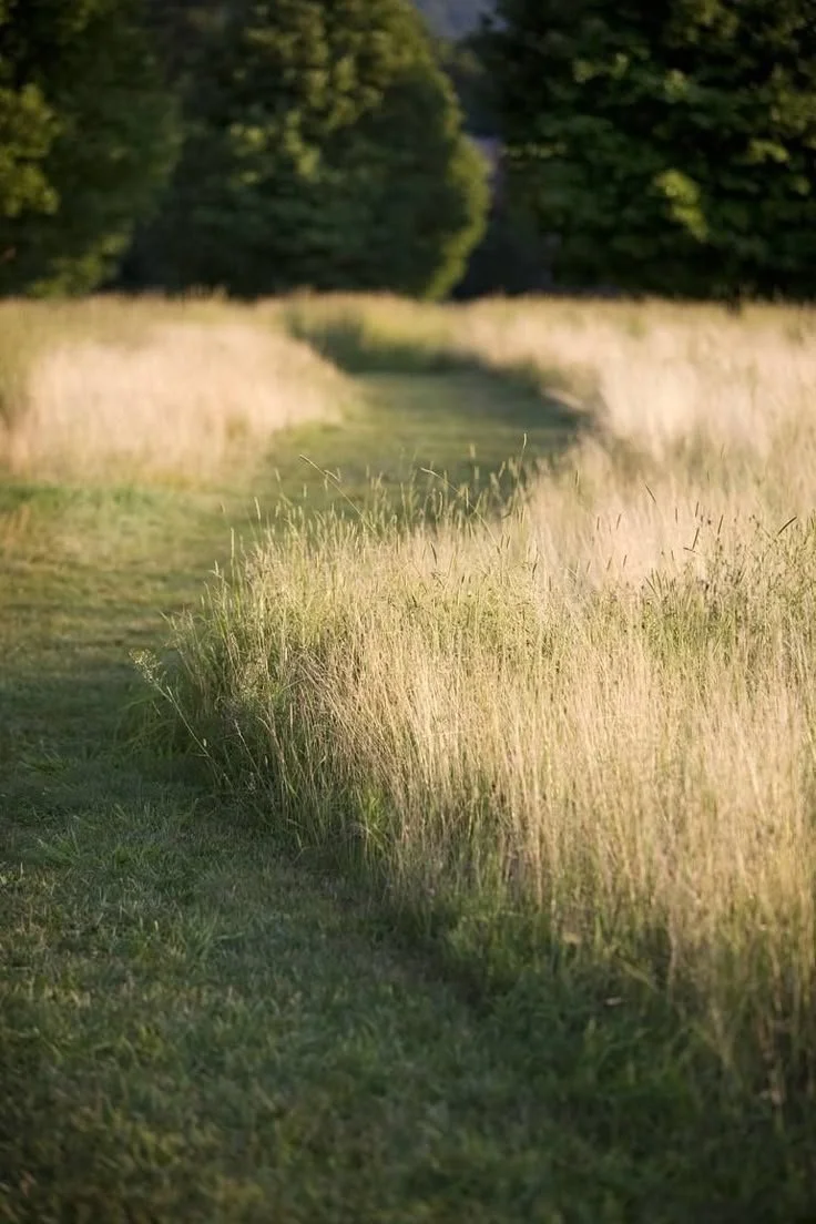 _ - 2025-10-18T103118.681.jpeg