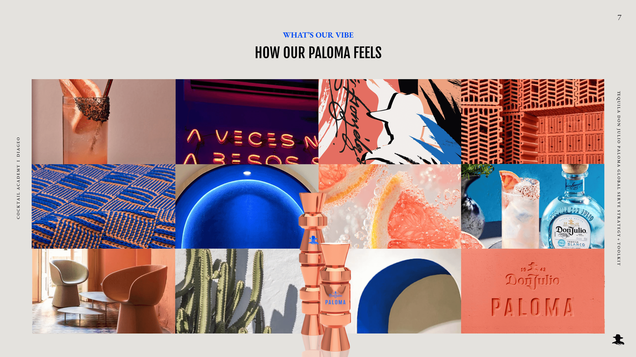 PALOMA-6.png