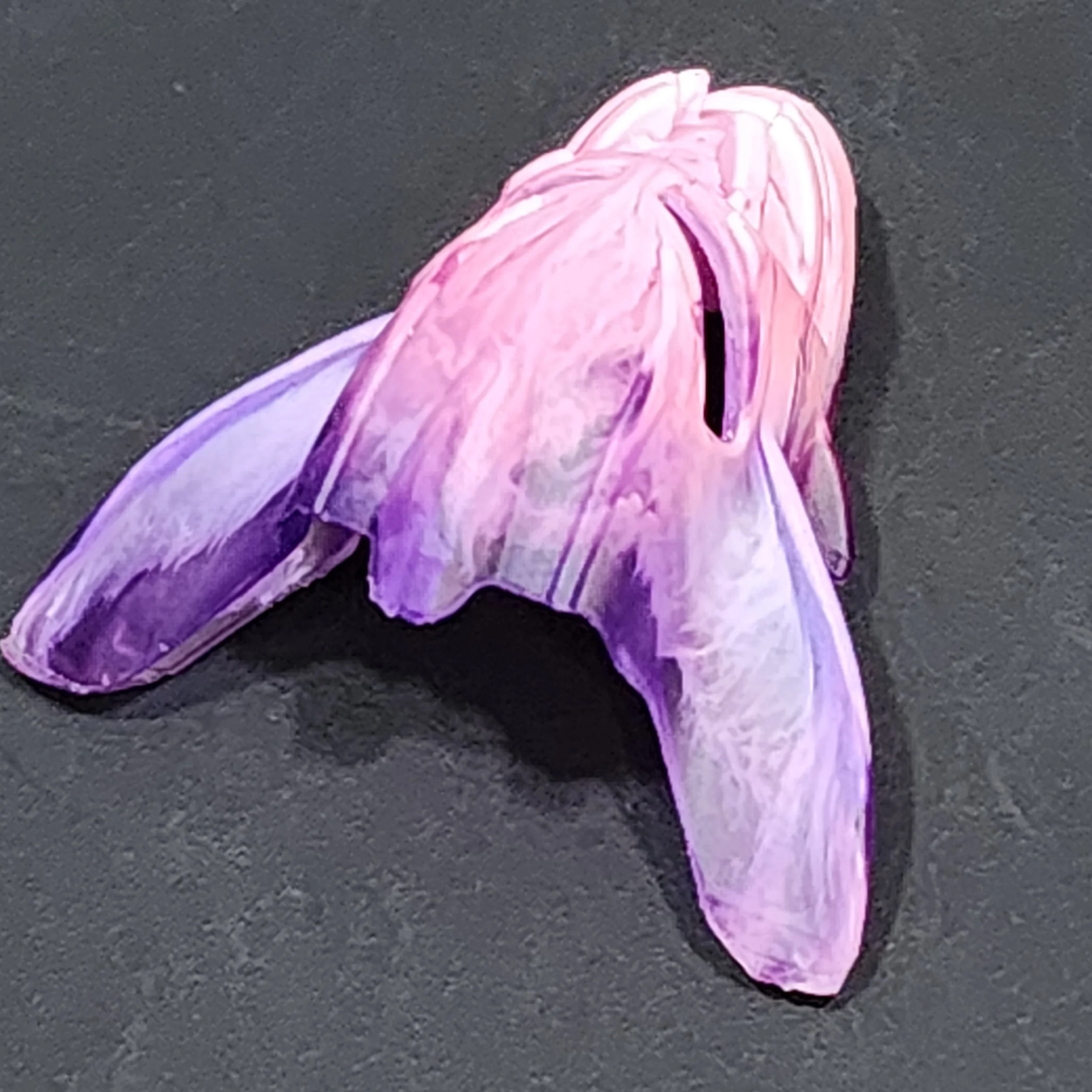 20251109_125509.jpg