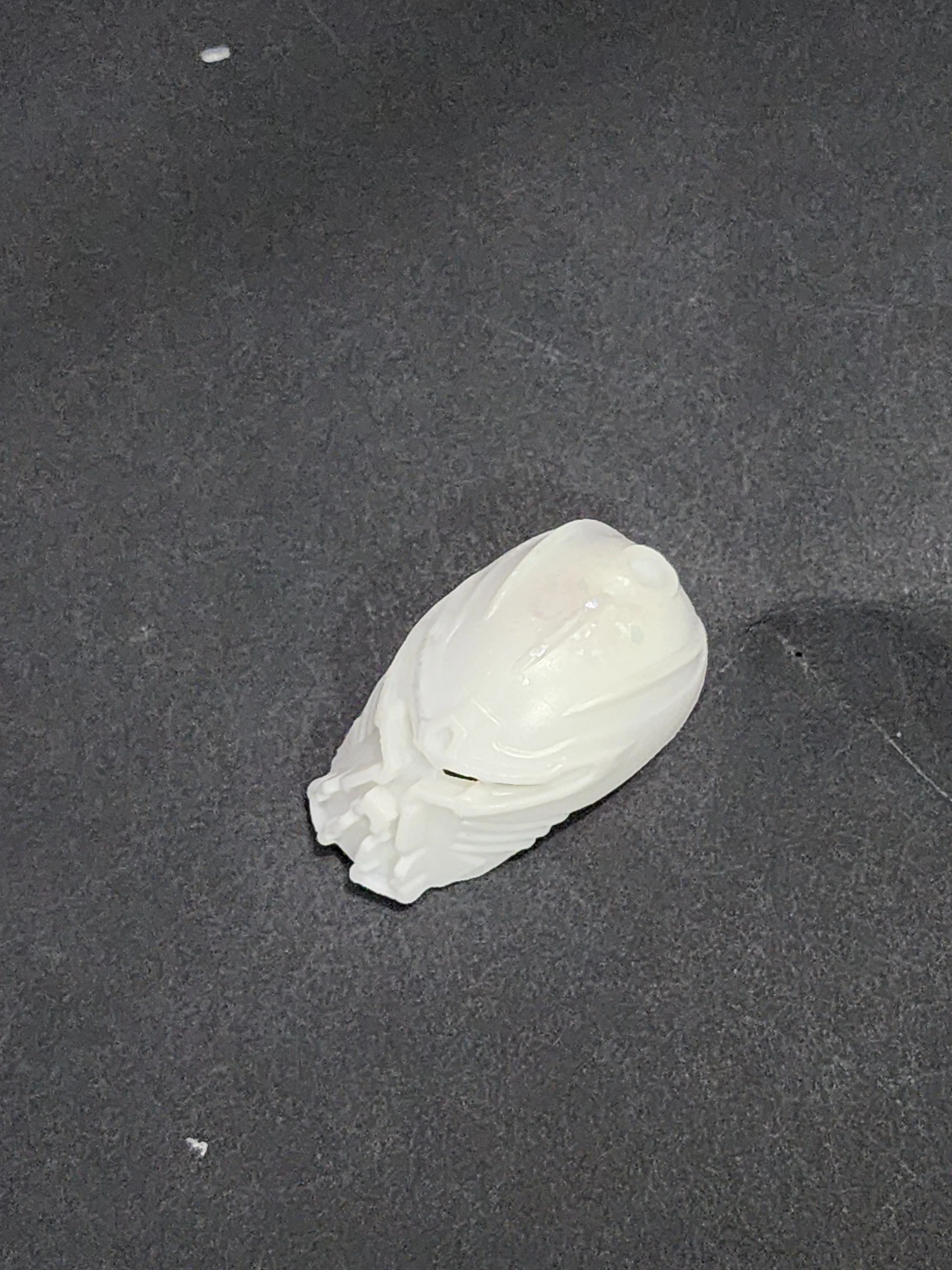 20261018_001727.jpg