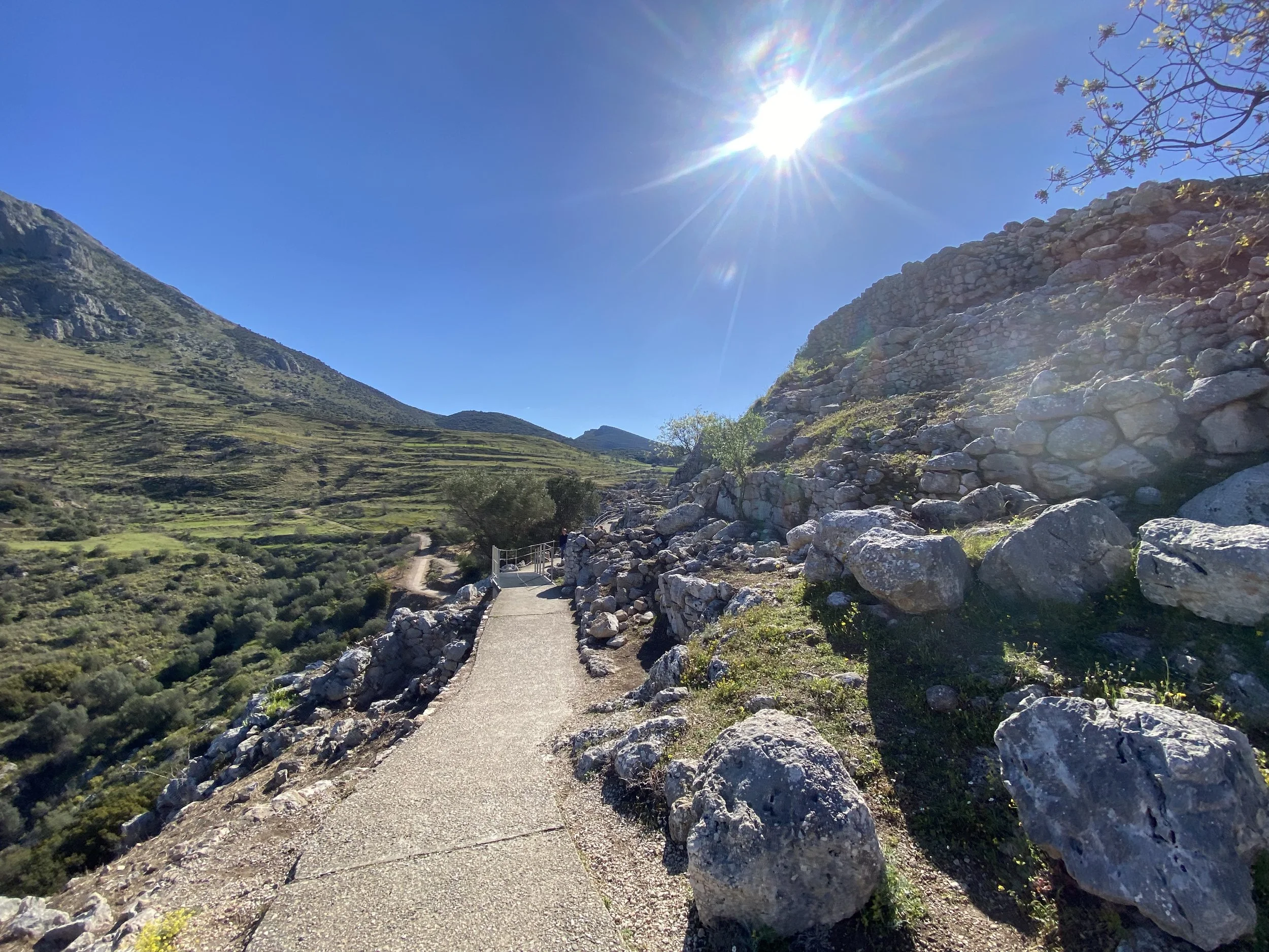 The Walking Path