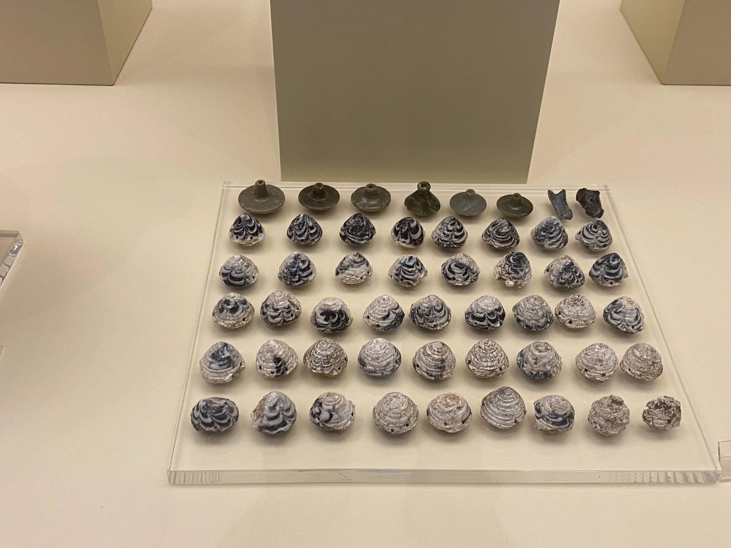 Glass Conuli and Steatite Spindle Whorls